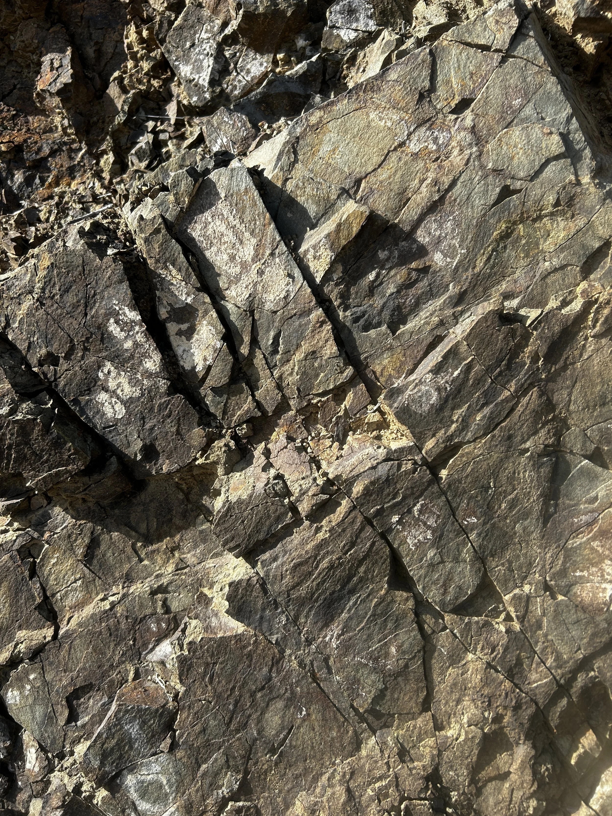 Close-up view of a cracked and weathered rock surface with various layers and textures.