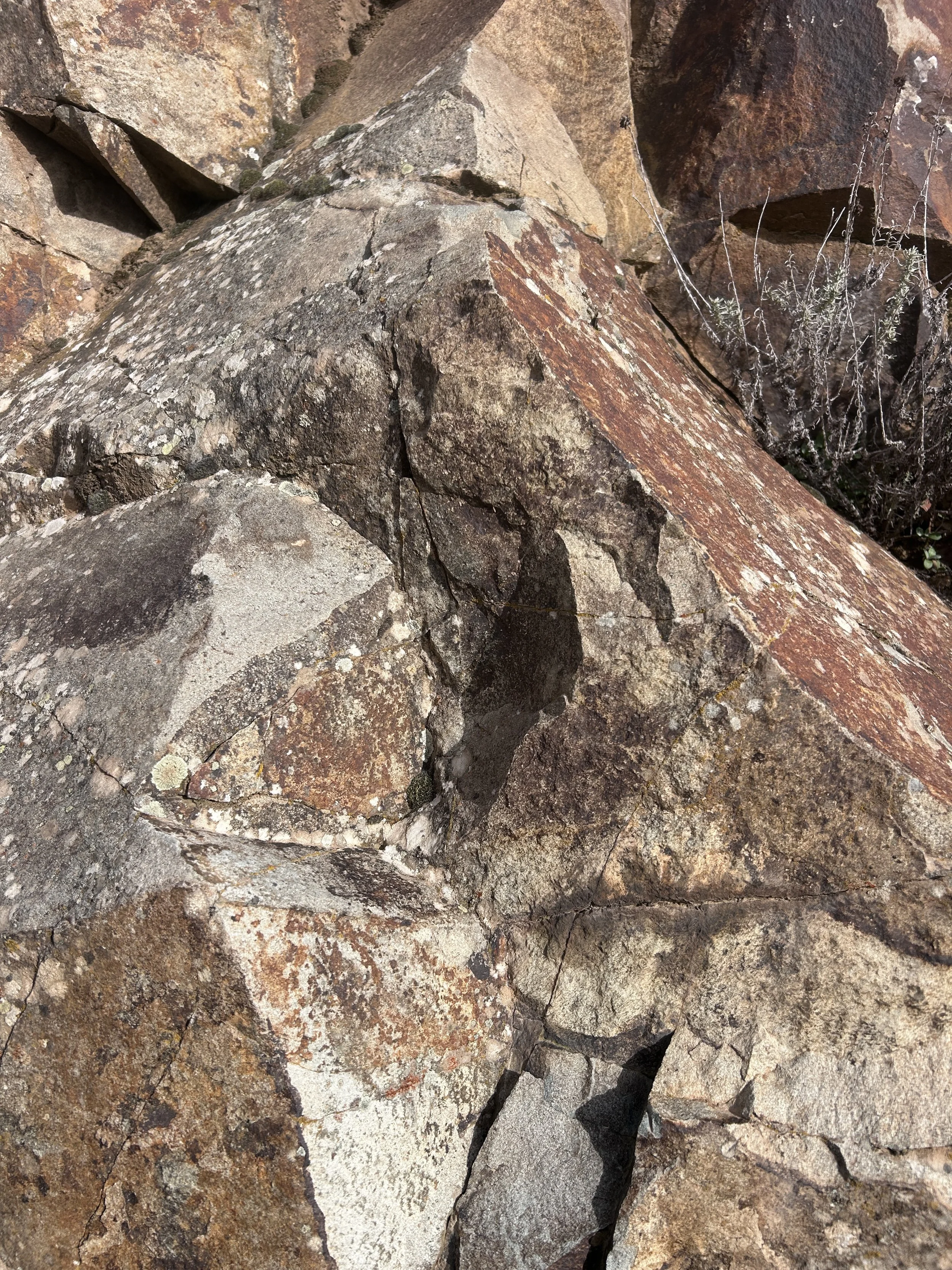 Close-up of various large rocks and boulders with different colors and textures, some with lichen and small plants growing between cracks.