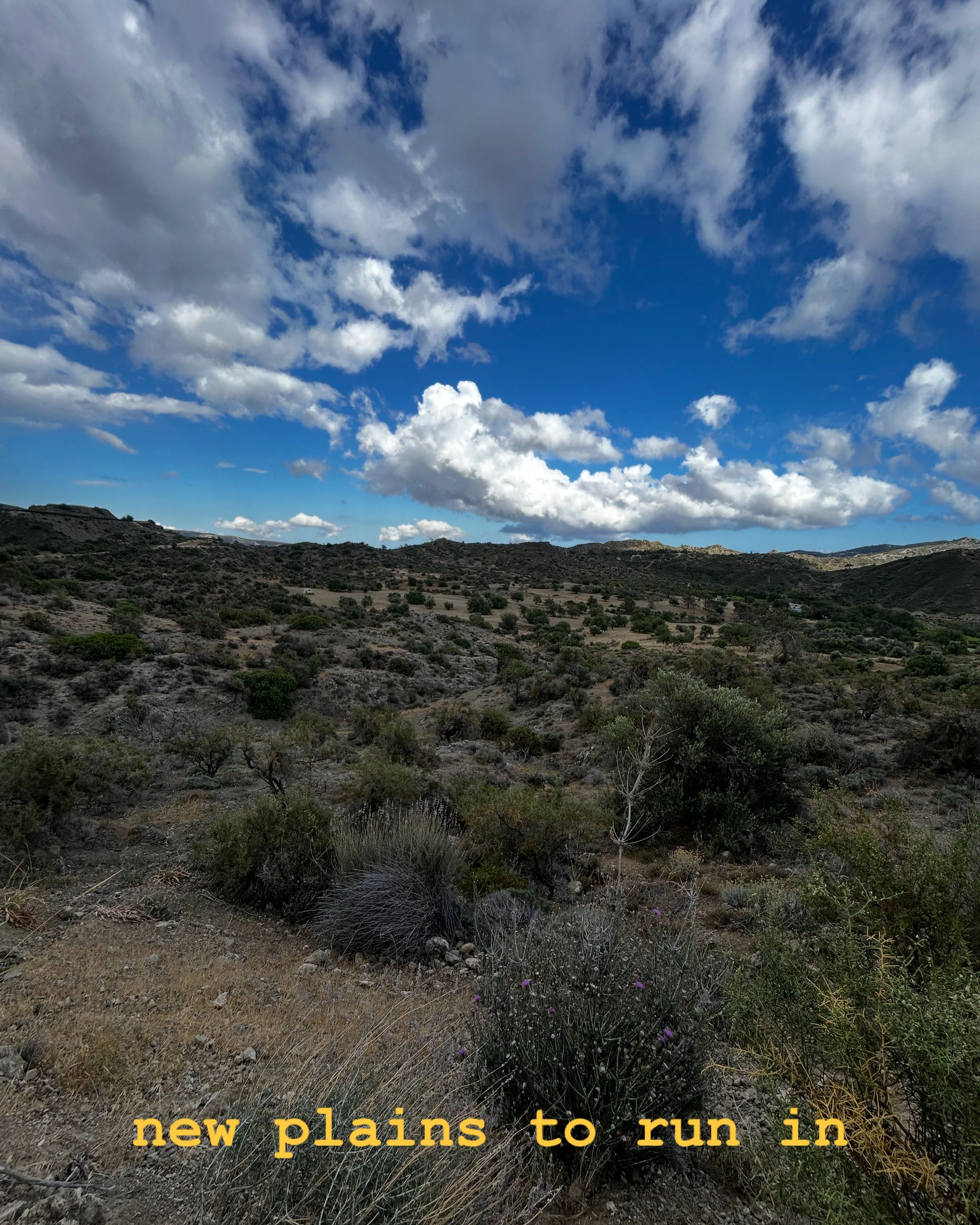 A wide view of a desert landscape with scattered bushes and small trees under a partly cloudy sky with blue and white clouds and the caption 'new plains to run in' in yellow text at the bottom.