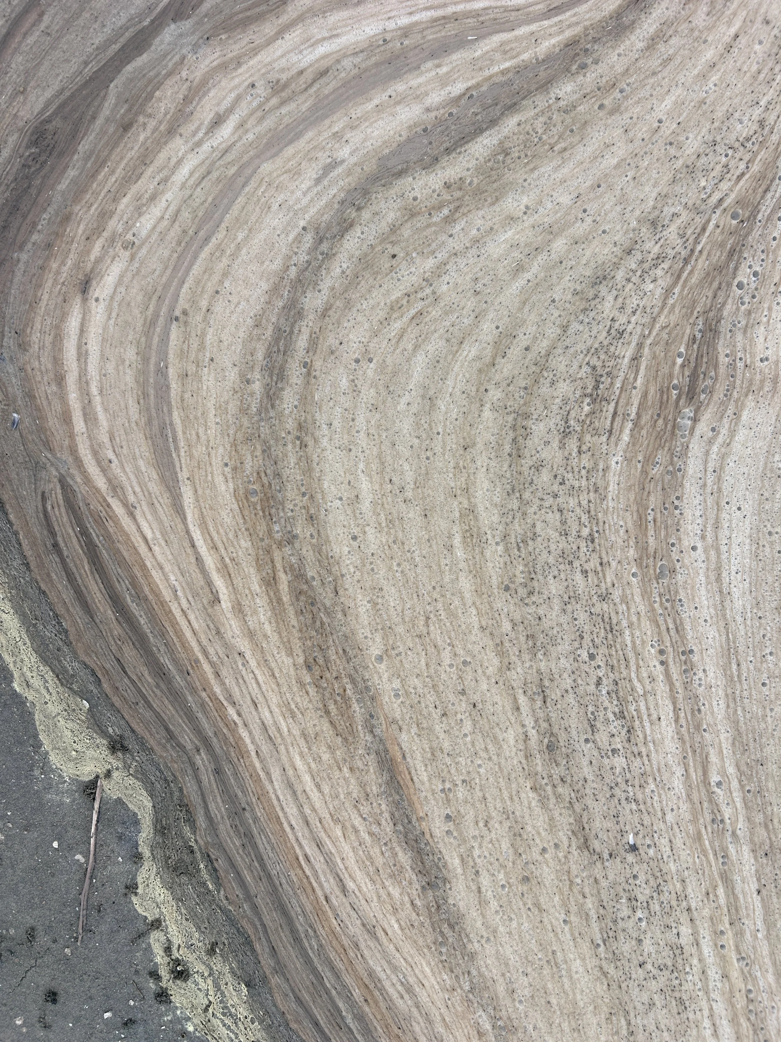 Close-up of a rock with layered, swirling patterns in shades of beige, brown, and gray.