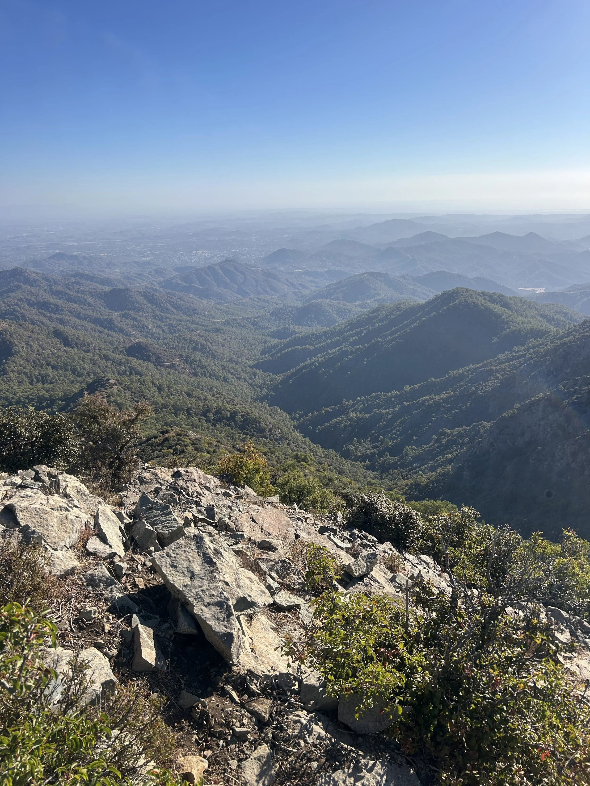 View of green mountain ranges under a clear blue sky, taken from a rocky hilltop with small bushes in the foreground.