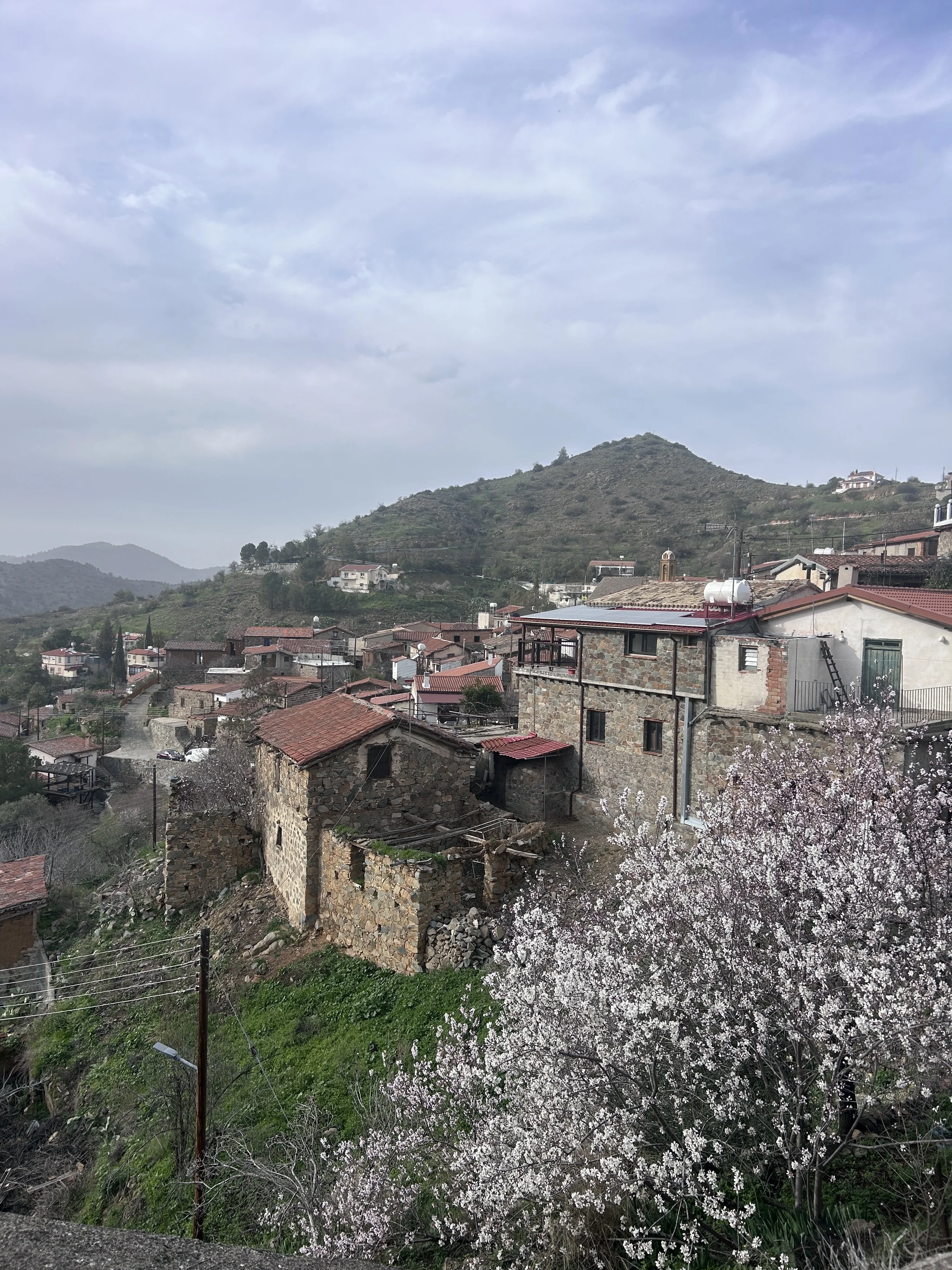 A small village with stone houses and red-tiled roofs located on a hillside, with some flowering trees in the foreground and mountains in the background under a cloudy sky.
