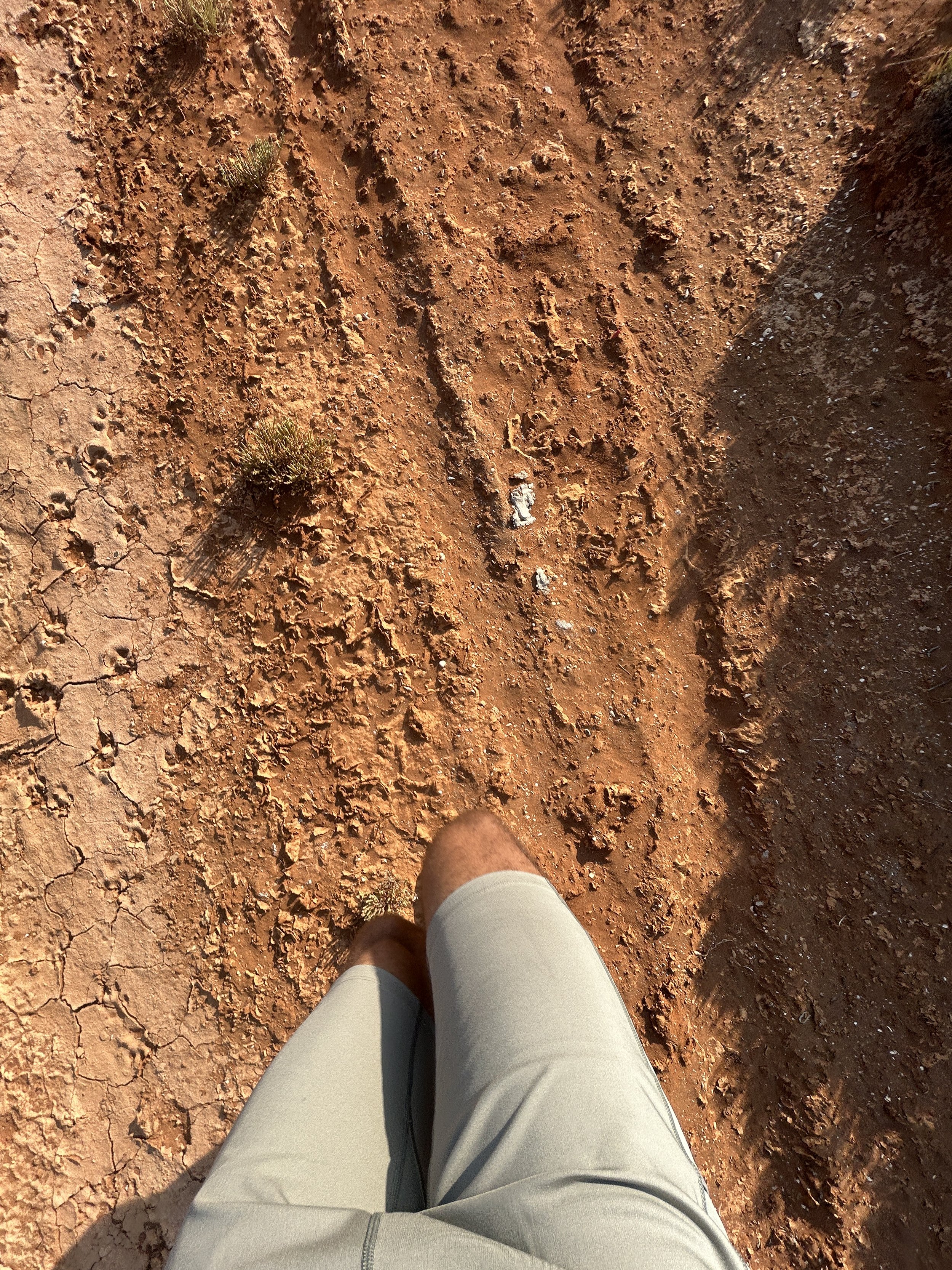 Close-up of person's legs in gray shorts standing on cracked, reddish-brown dirt ground with small plants and uneven textures.