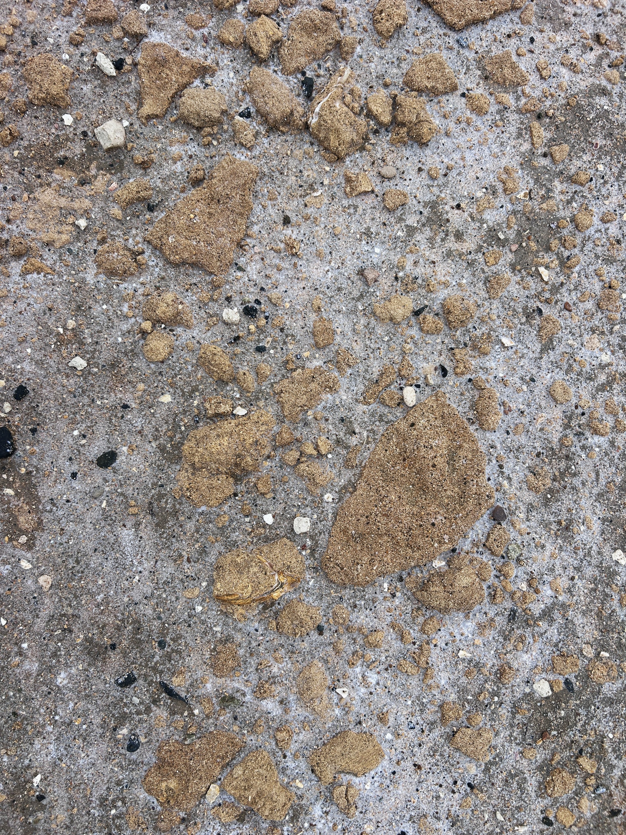 Close-up of sandy ground with scattered rocks and pebbles.