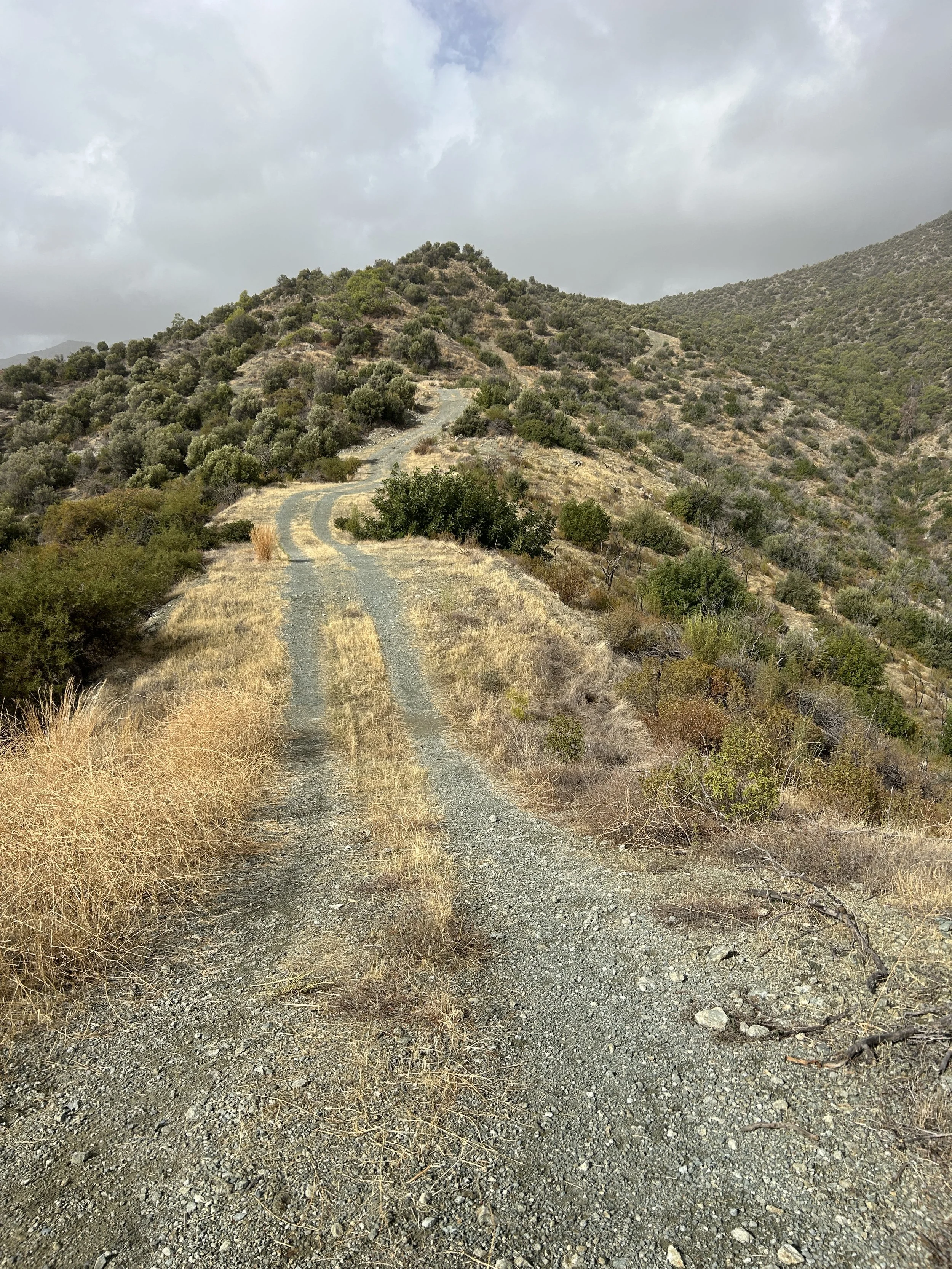 A rugged dirt and gravel trail winding up a dry, hilly landscape with sparse bushes and small trees, under a cloudy sky.