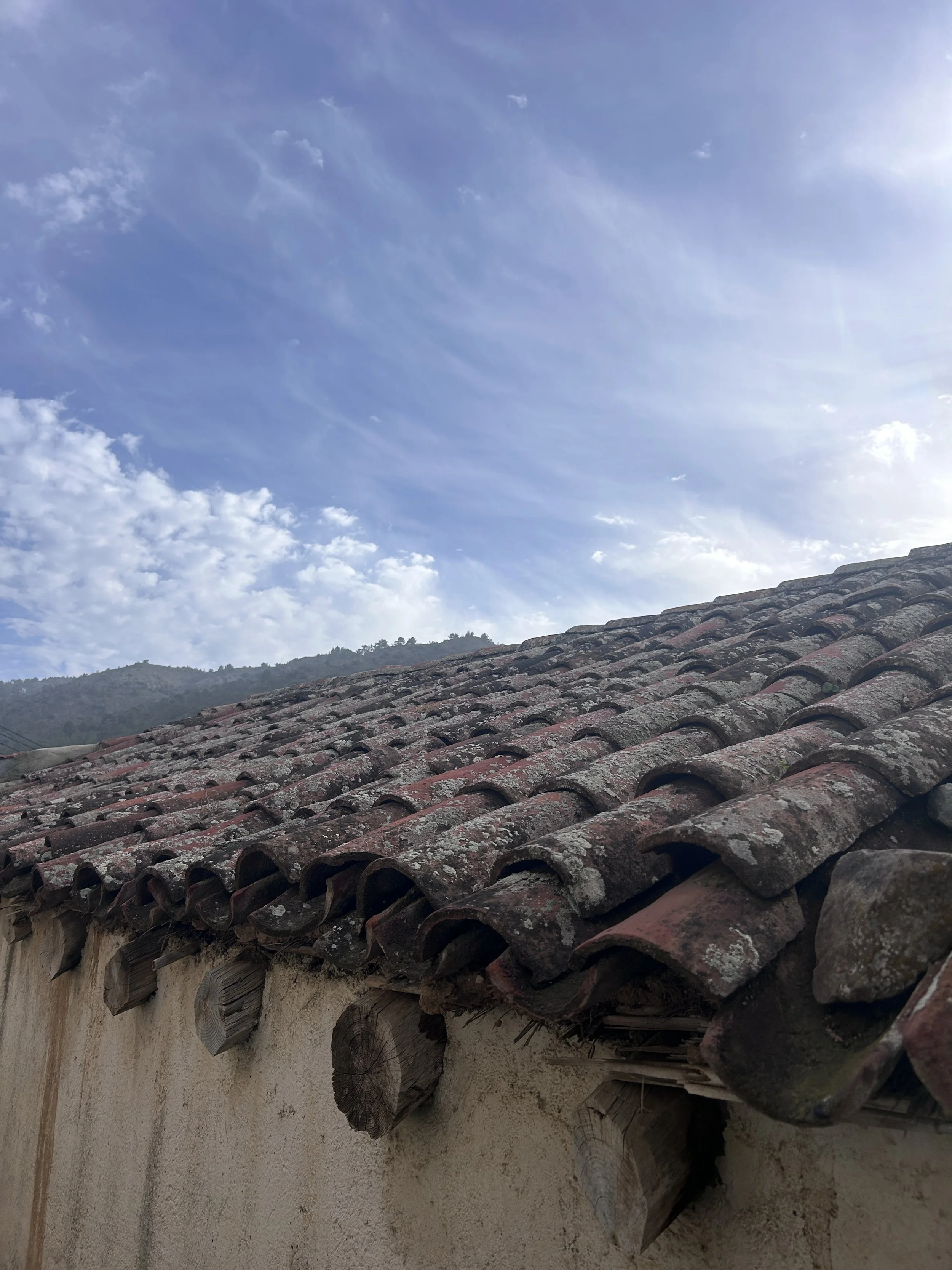 Roof with aged, moss-covered red clay tiles and exposed wooden beams under a partly cloudy sky with mountains in the background.