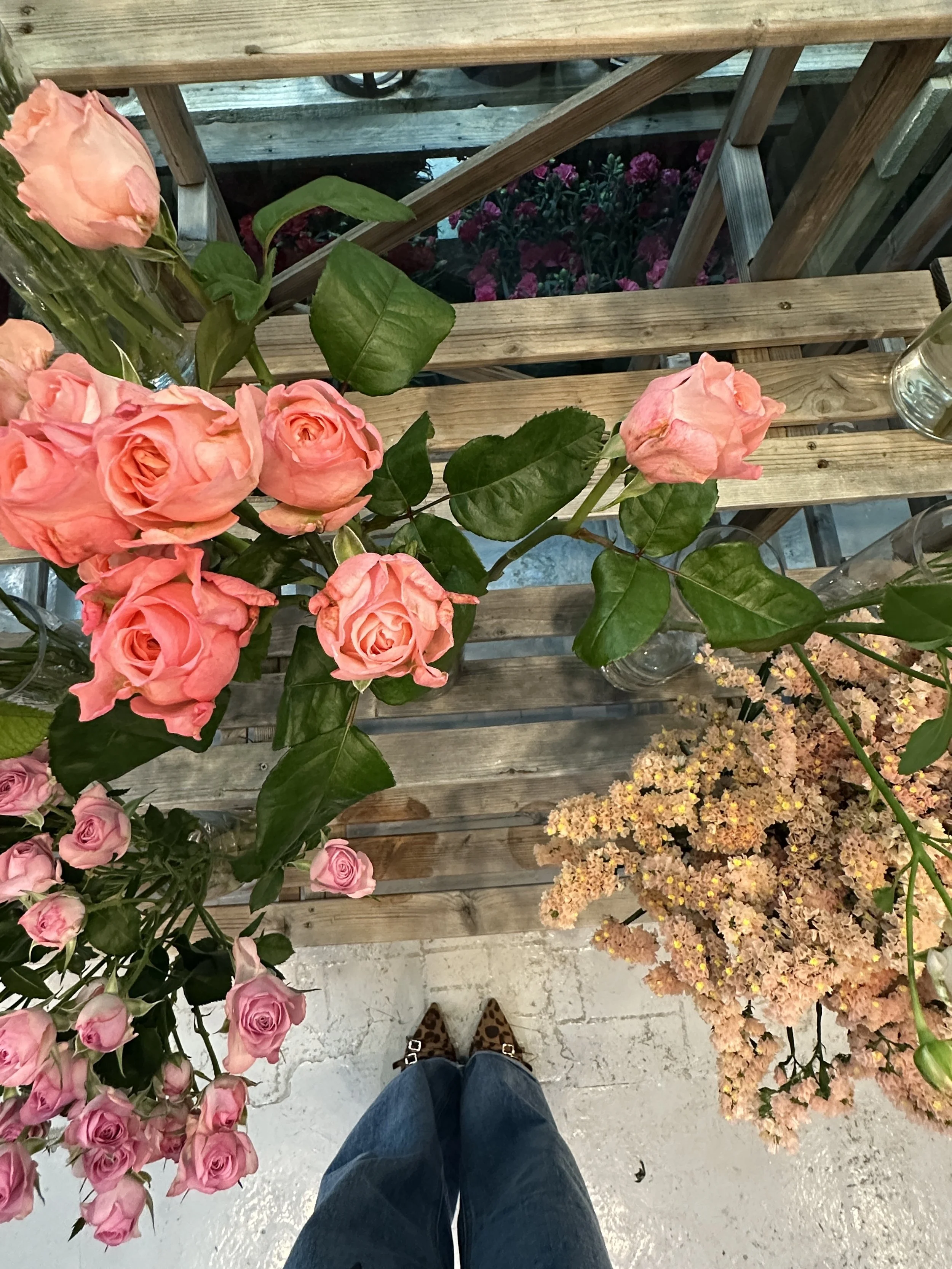 IMG_0251.jpeg