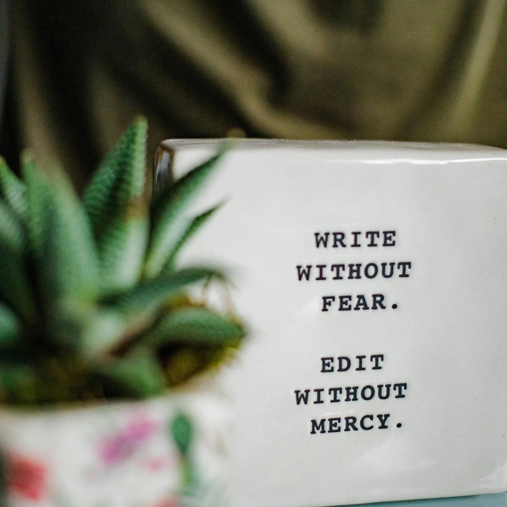 A white mug with black text that reads 'WRITE WITHOUT FEAR. EDIT WITHOUT MERCY.' next to a green succulent plant.