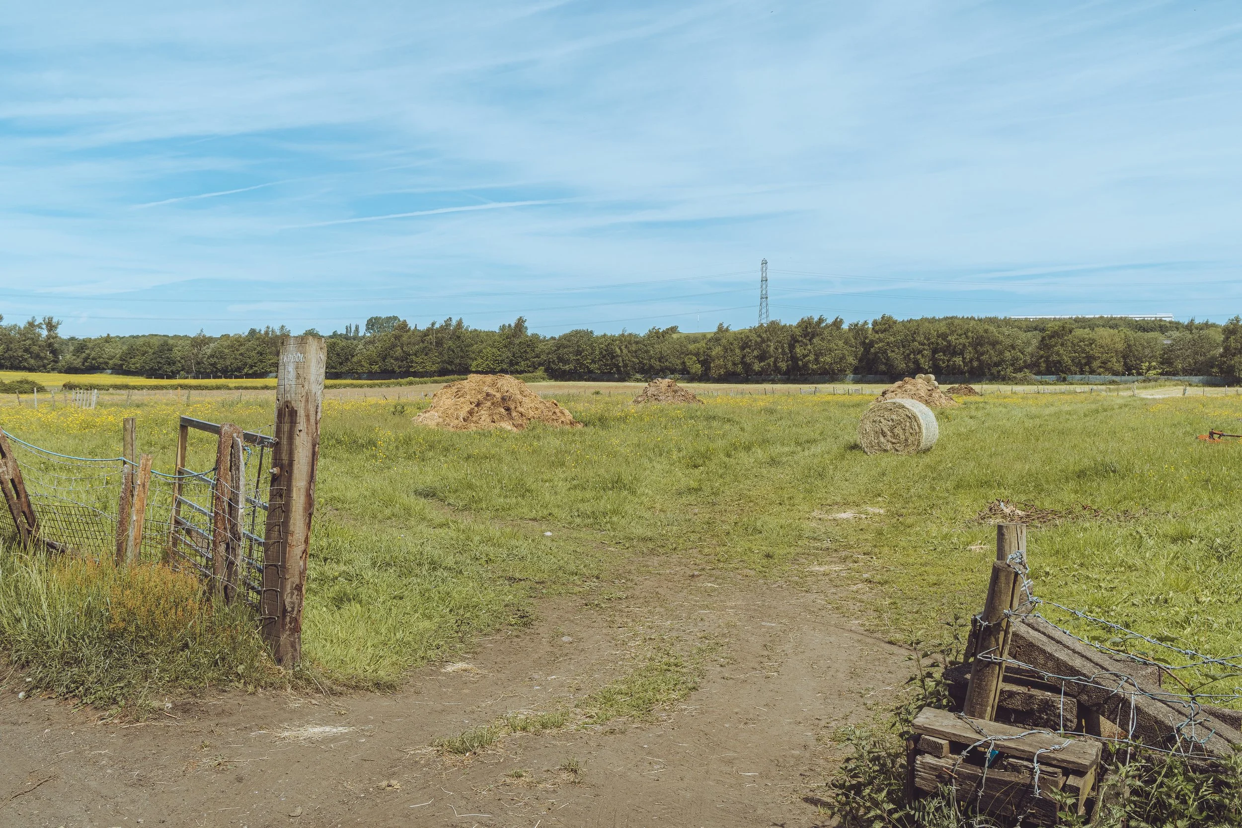 A rural landscape with a grassy field, haystacks, a wooden fence, and trees in the background under a blue sky with wispy clouds.