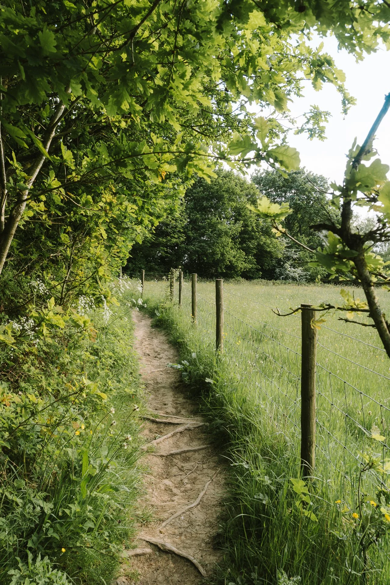 Back Fields Walk 12_05_25-119.jpg