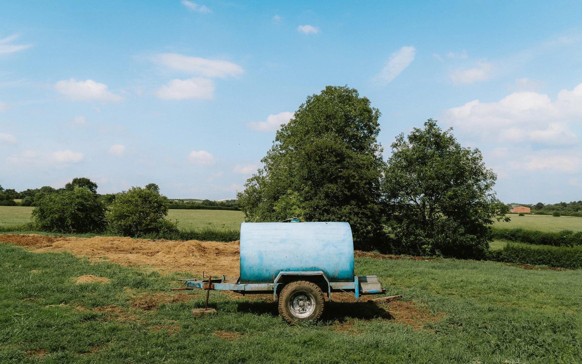 Backfield walk 30_6_25-109.jpg