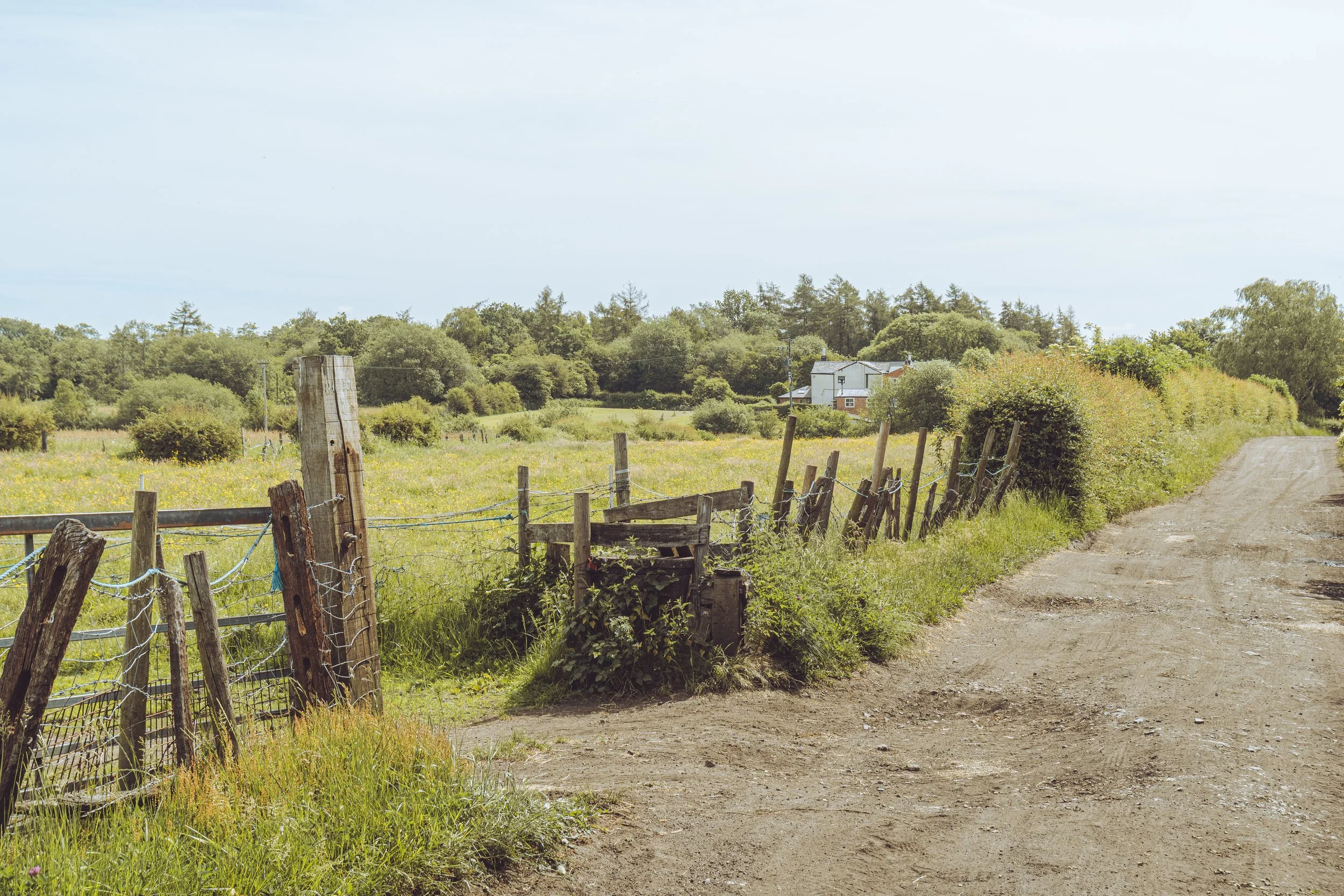 Dirt pathway running alongside a grassy field with a rustic wooden fence. In the distance, there are trees and a white house with a gray roof under a partly cloudy sky.