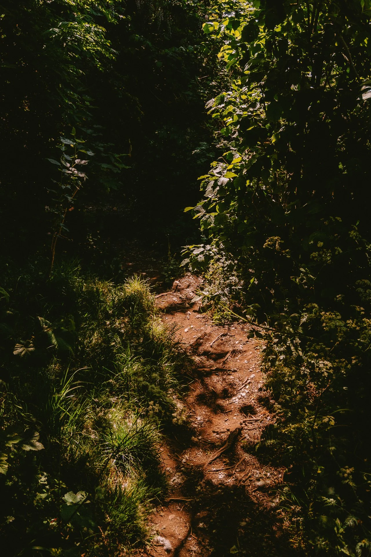 Stockport Walk-112.jpg