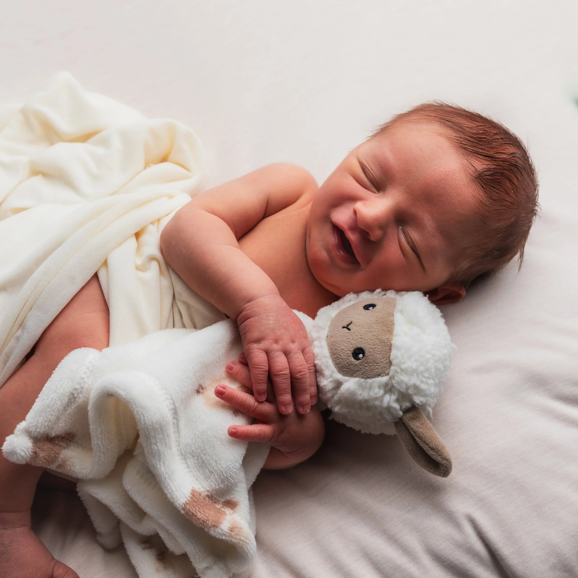 Jesse - Newborn-197.jpg