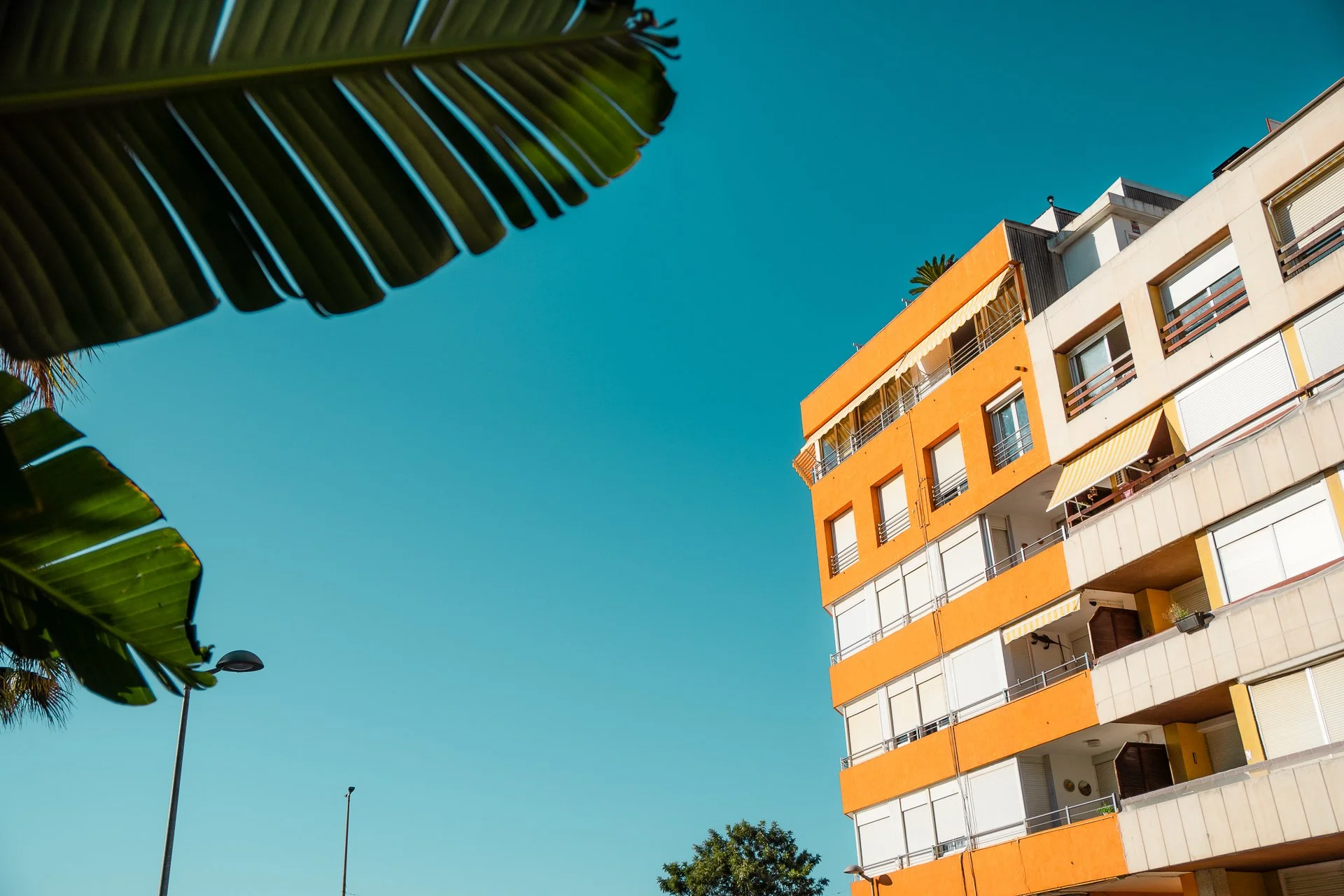 Pineda_De_Barcelona-102.jpg