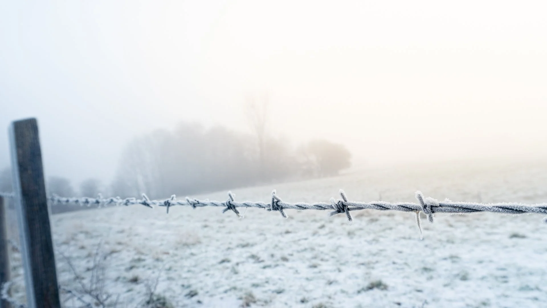 Tyldesley-146.jpg