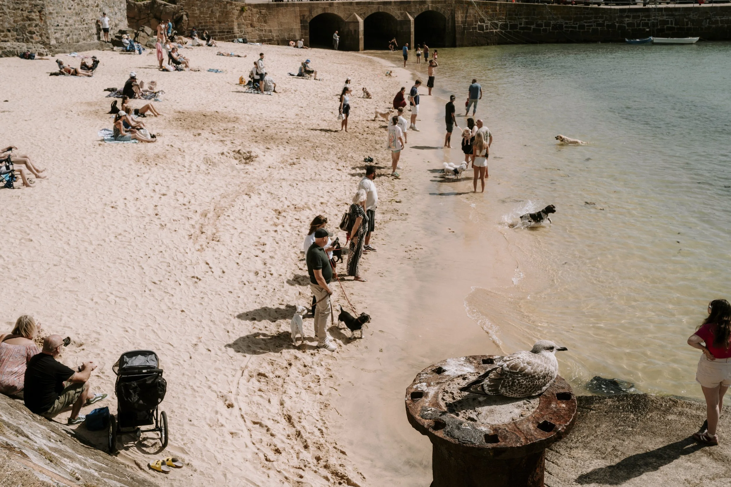 Cornwall_26-138.jpg