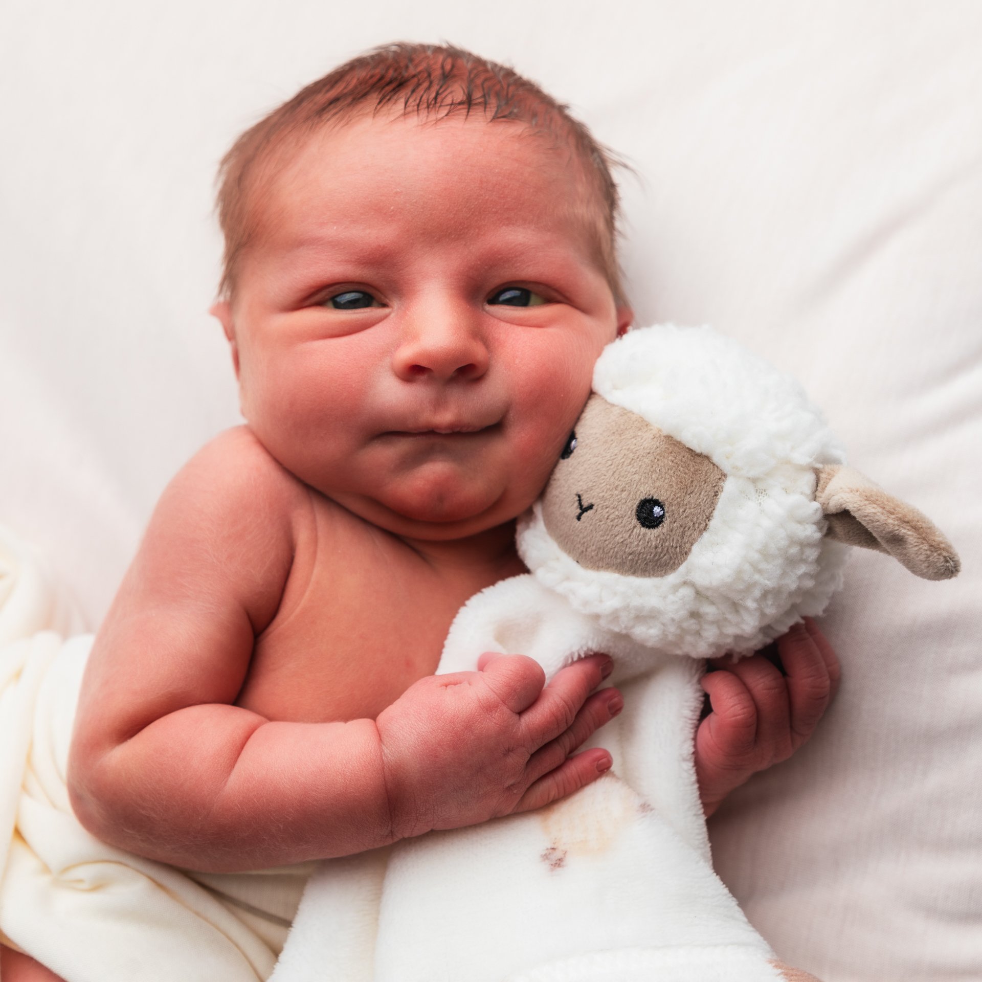 Jesse - Newborn-200.jpg
