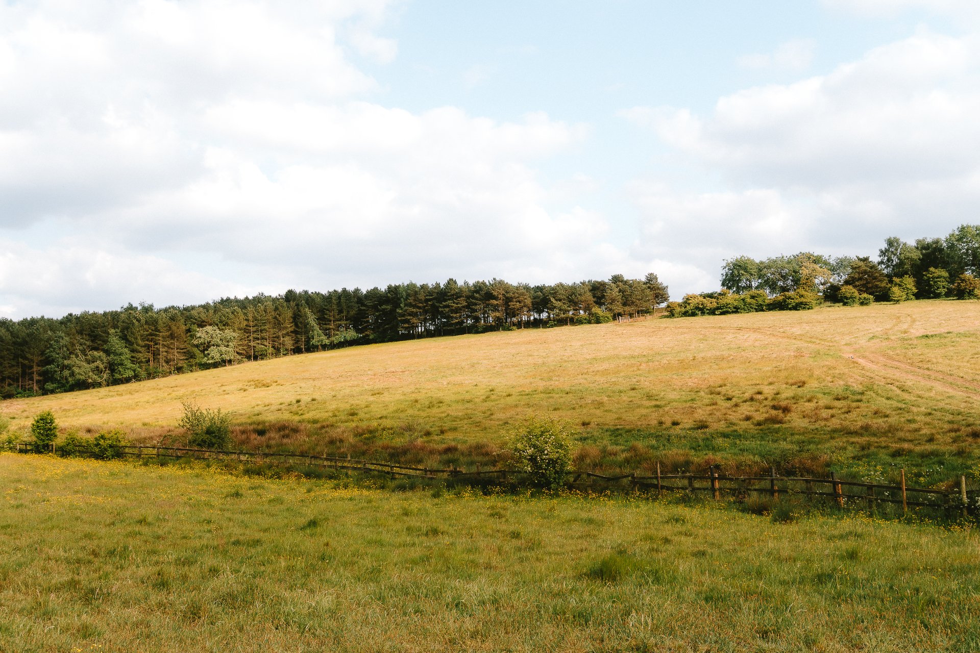 Back Field Walk 19_05_25-111.jpg