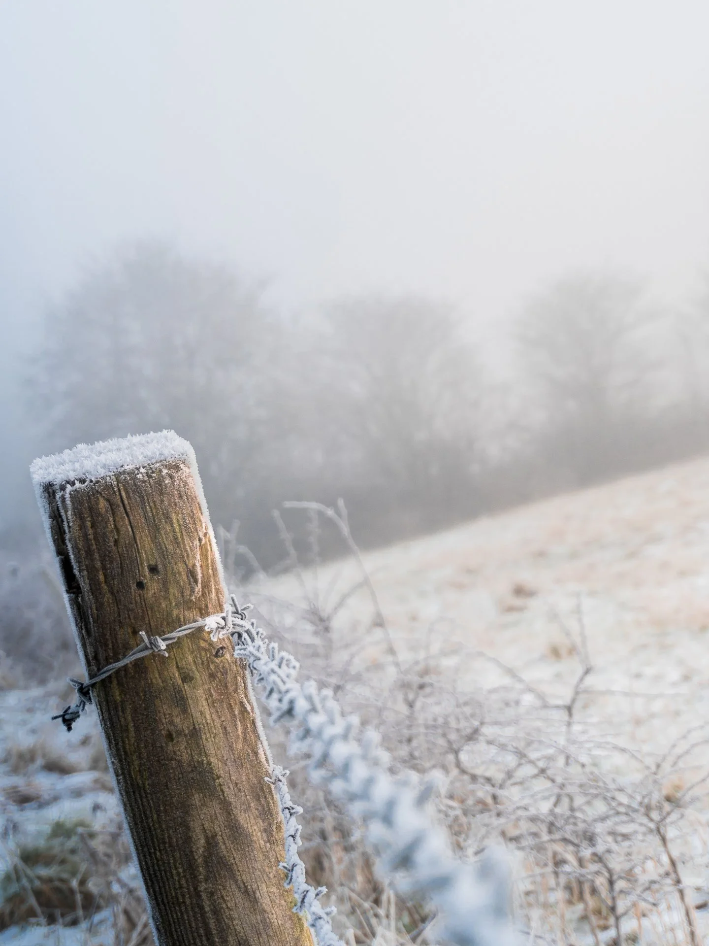 Tyldesley-149.jpg