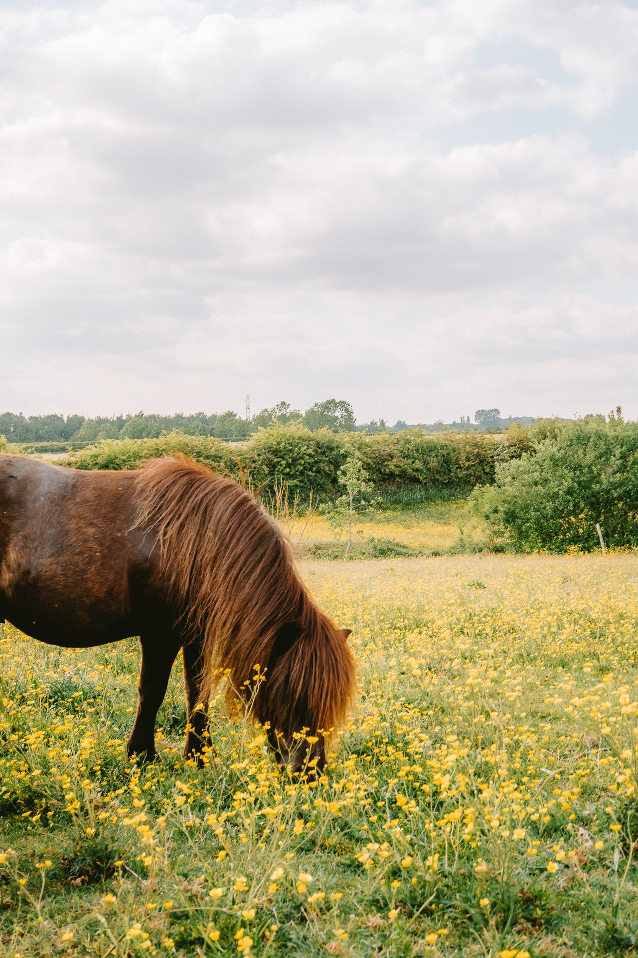 Back Field Walk 19_05_25-127.jpg