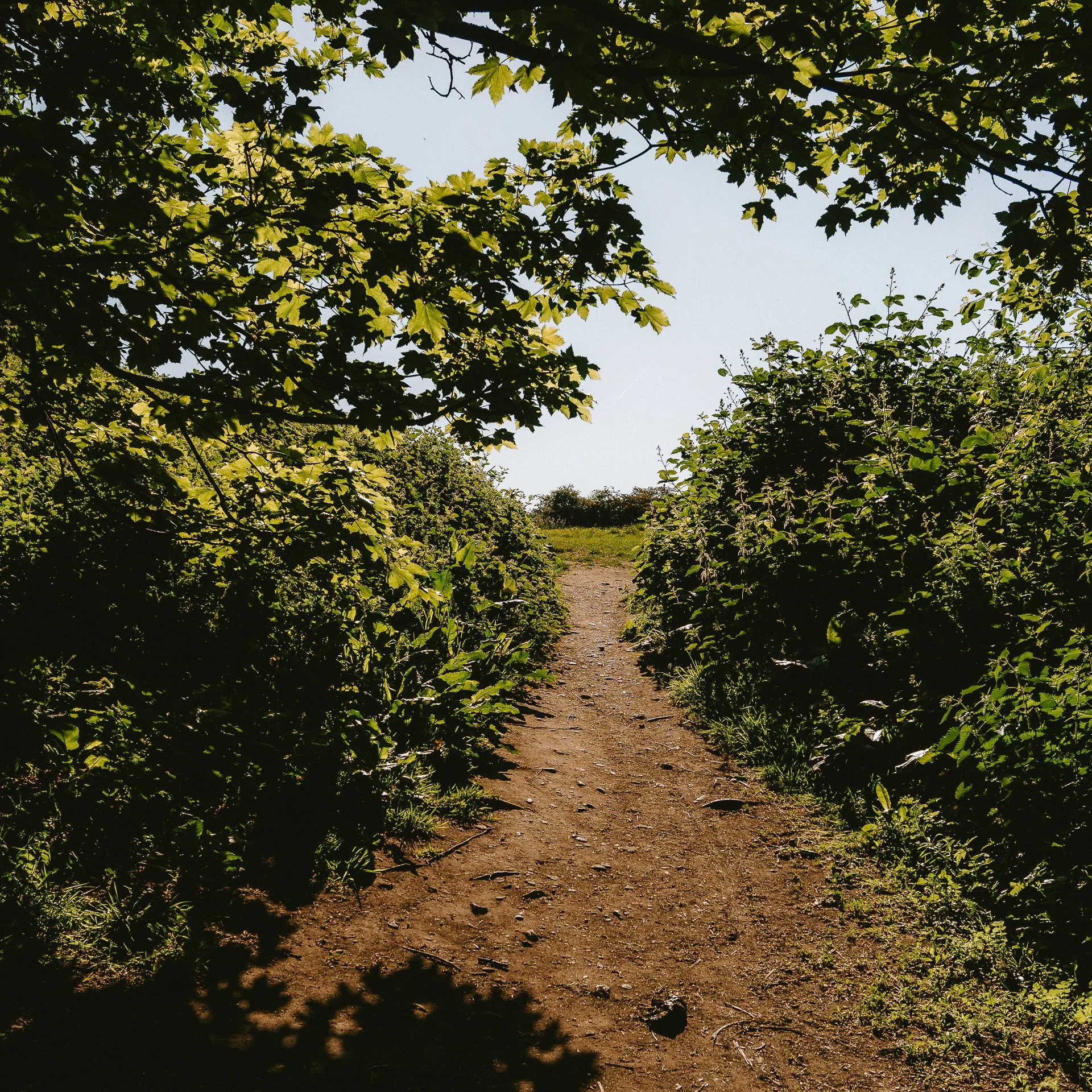 Stockport Walk-109.jpg