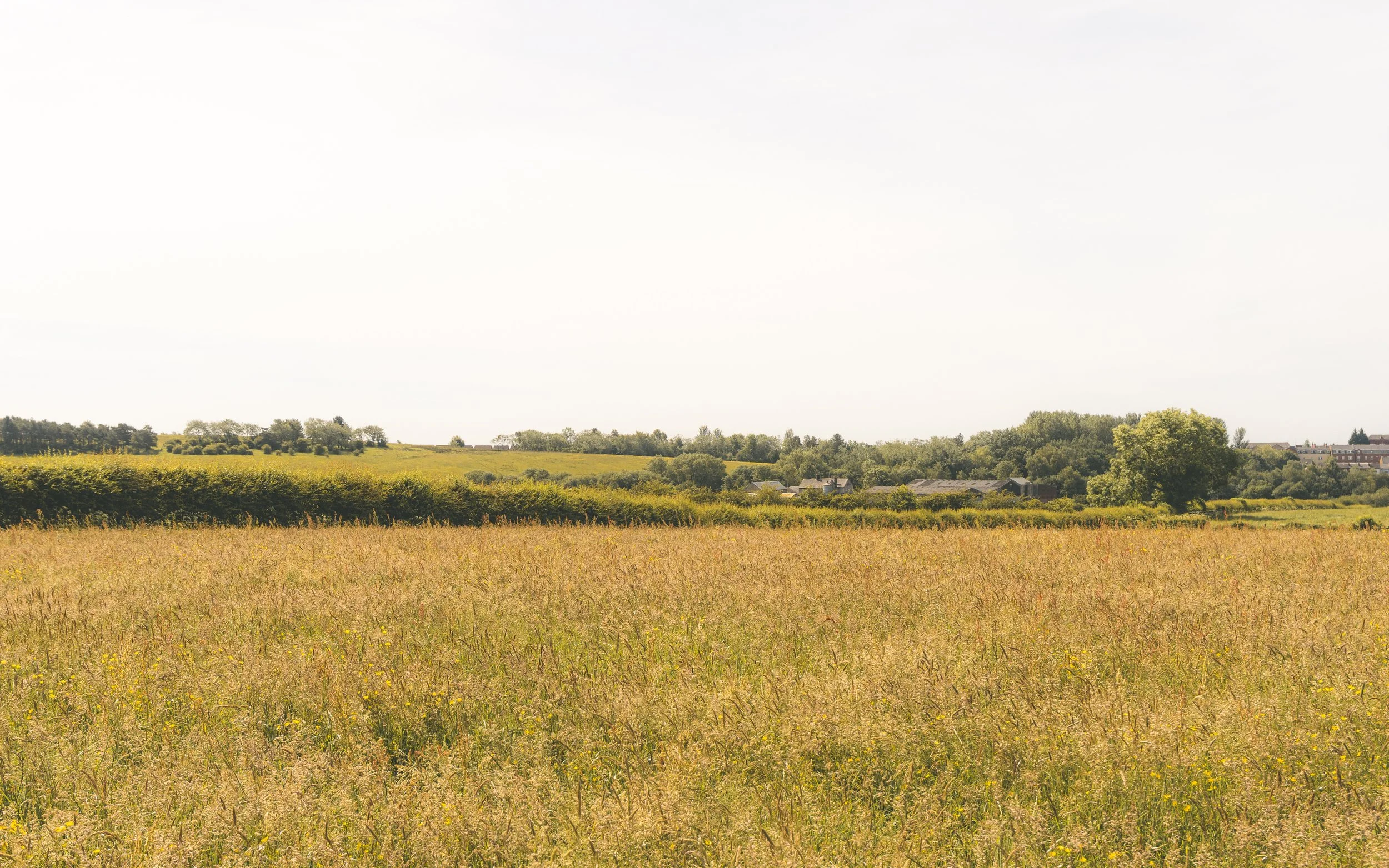 A wide landscape view of a rural area with grassy fields, trees, small houses, and a cloudy sky.