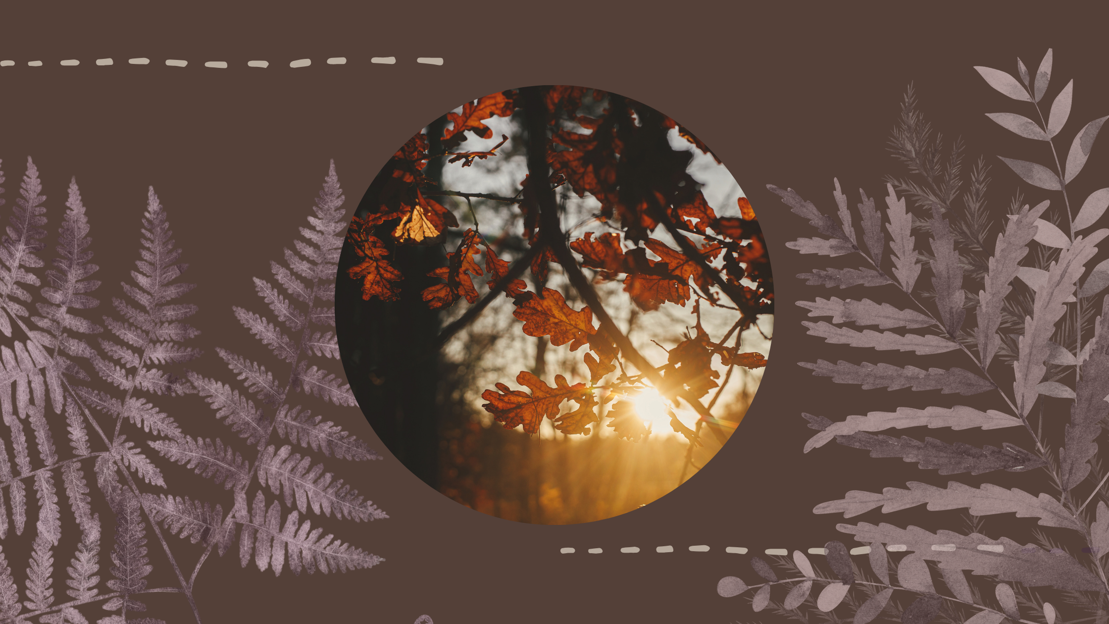 November Reflections