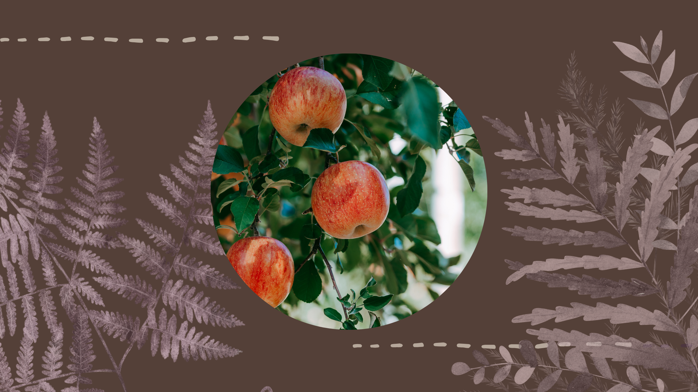 Summer Holidays: Getting out of the house