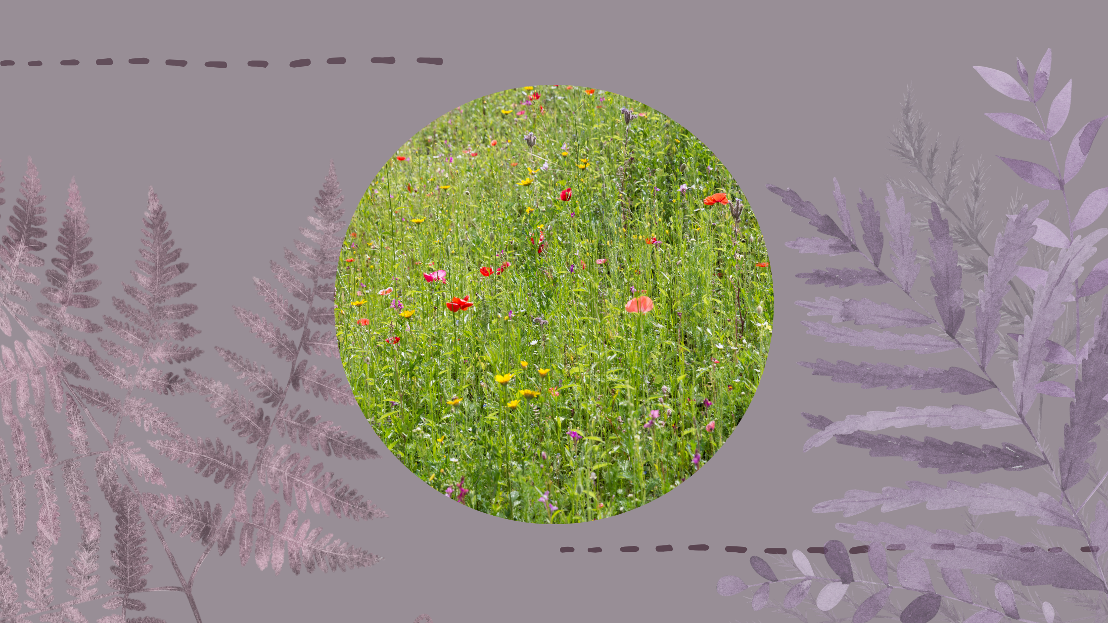 Get outside this Summer