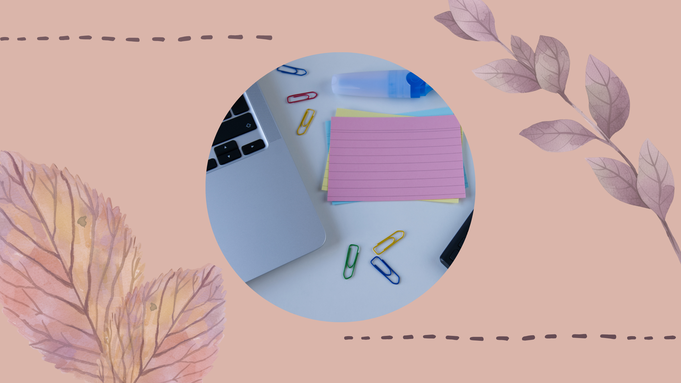 Curiosity Guide to Exam Season
