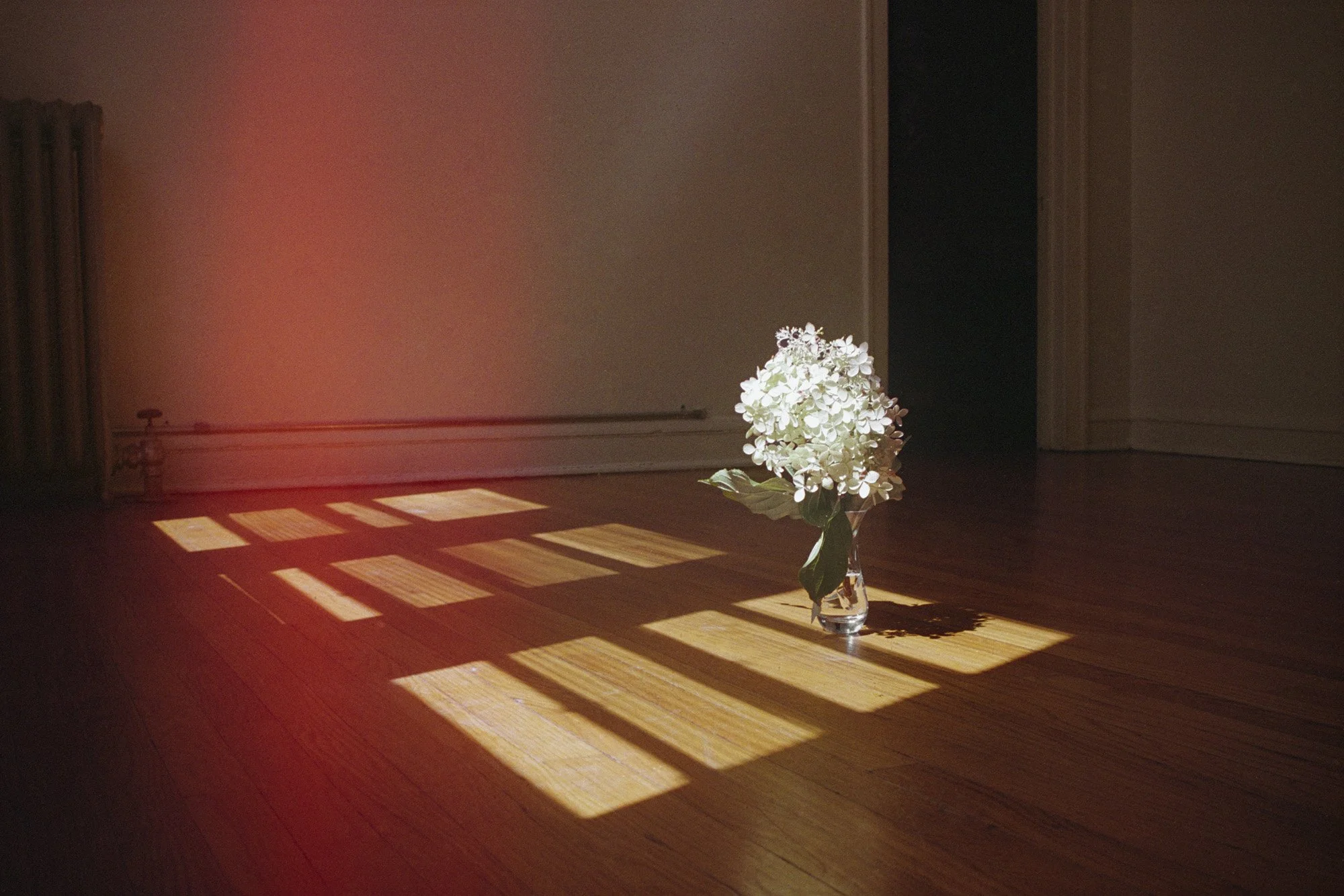 WEARY AFTERNOON SUN by JENNY RAFALSON
