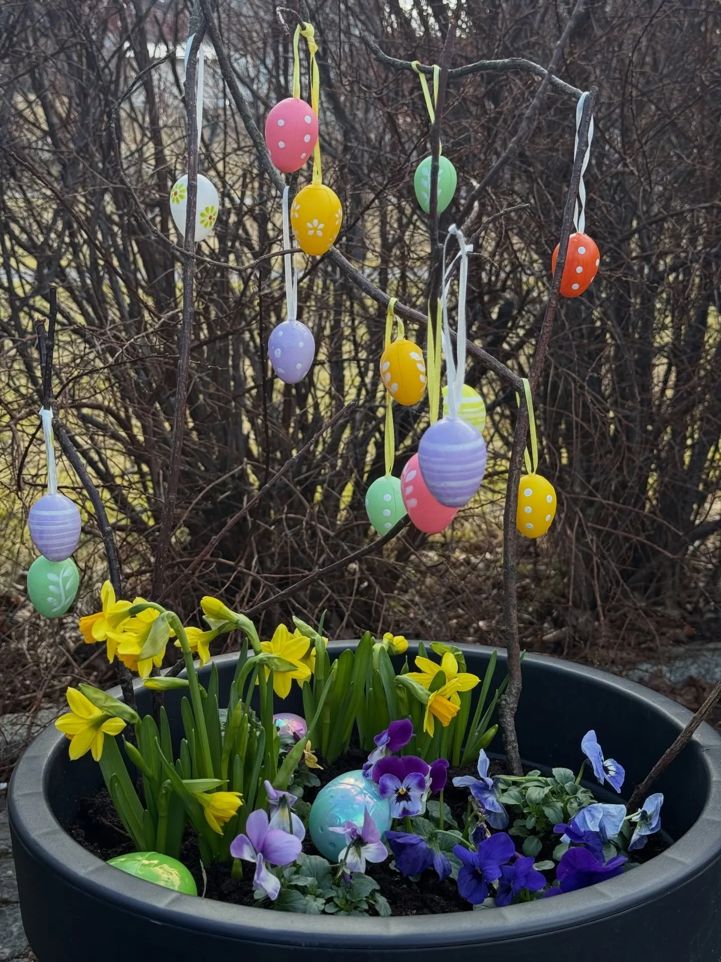 @brattvaag_bygdepark er pynta til p&aring;ske! Her kan du f&aring; ei koselig og fargerik pause p&aring; turen gjennom Brattv&aring;gen 🥹🐣

Kva planar har du som feirar p&aring;ske p&aring; Sunnm&oslash;re? Eg vil vite! 🌷