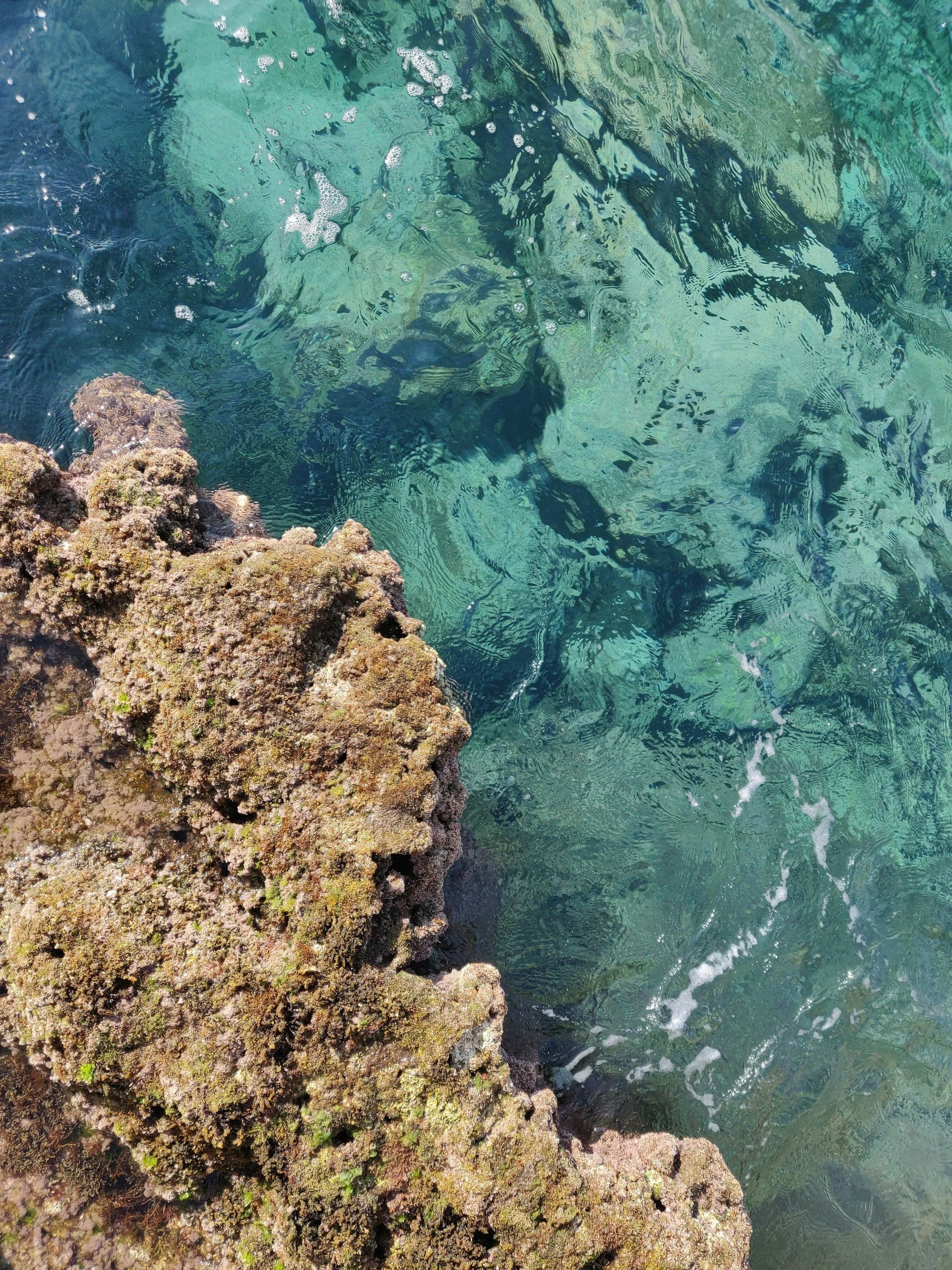 Acqua trasparente con rocce sottomarine visibili e una roccia ricoperta di alghe sulla spiaggia.