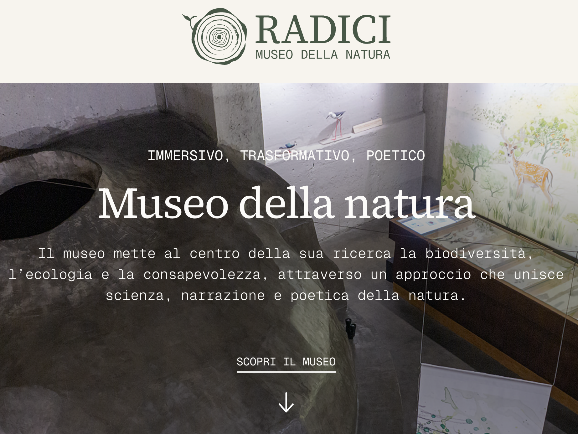 Radici Museo della natura