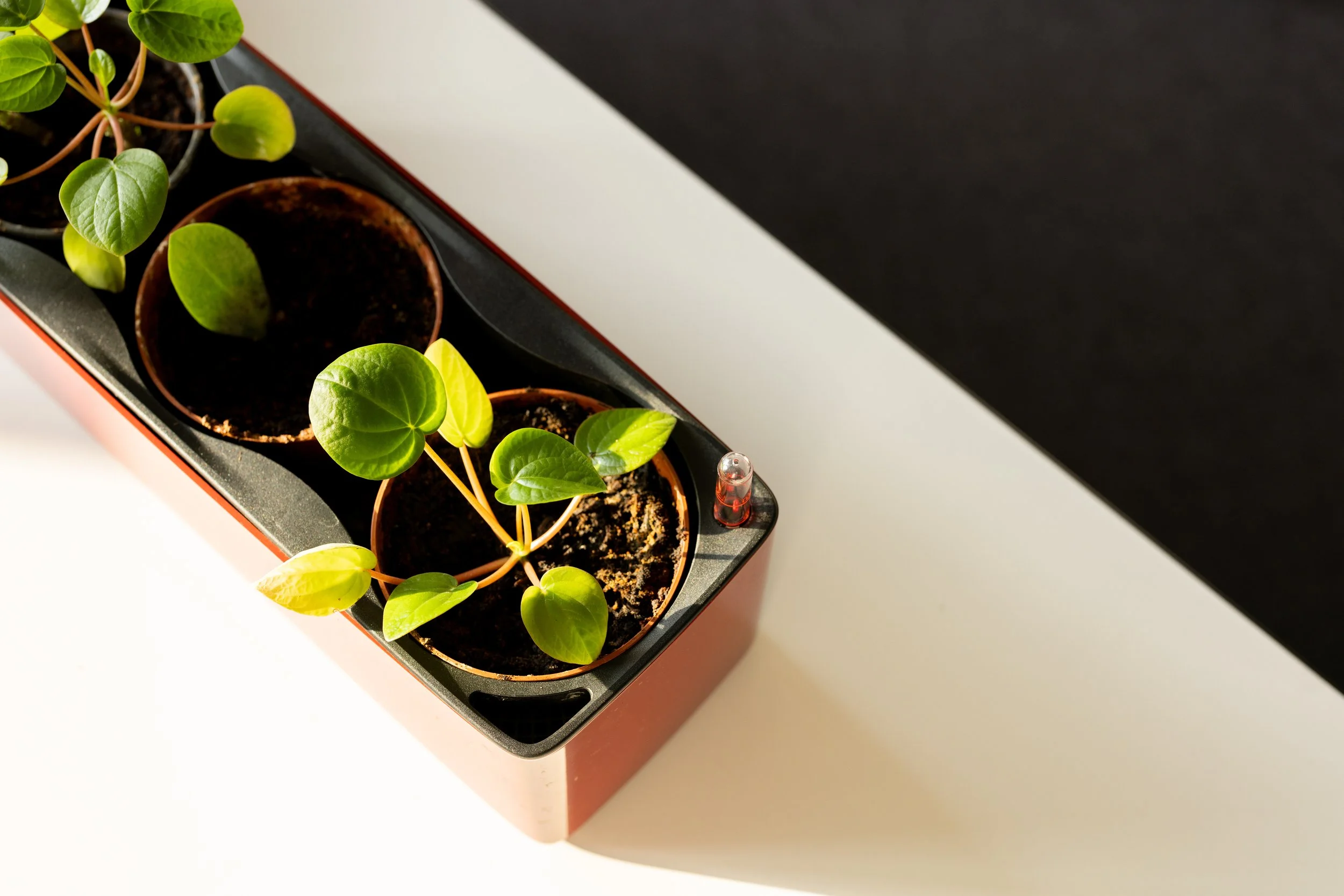 C.A.T.S. Fotos Landing Page-4.jpg