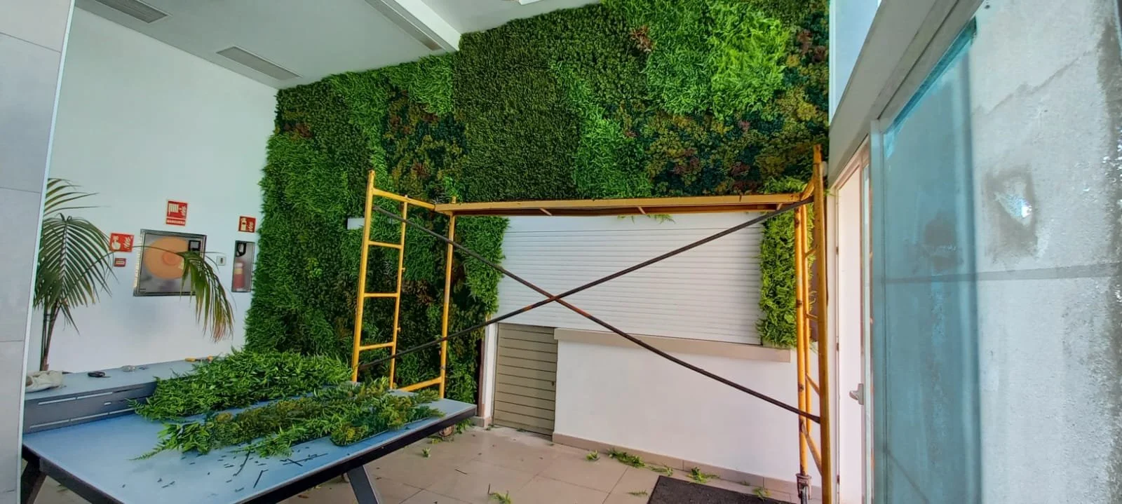 WhatsApp Image 2025-10-14 at 17.41.50.jpeg