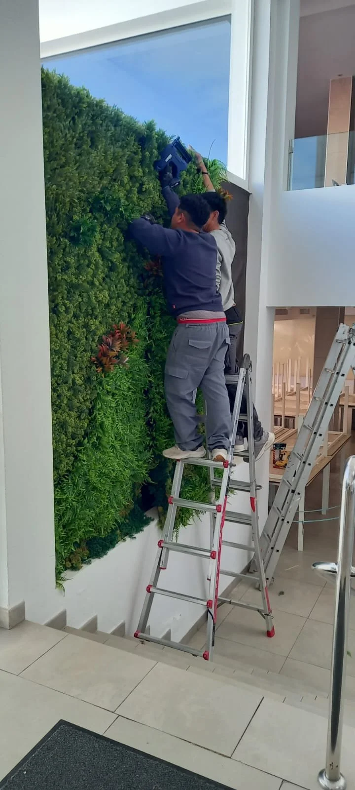 WhatsApp Image 2025-10-14 at 17.41.50 (1).jpeg