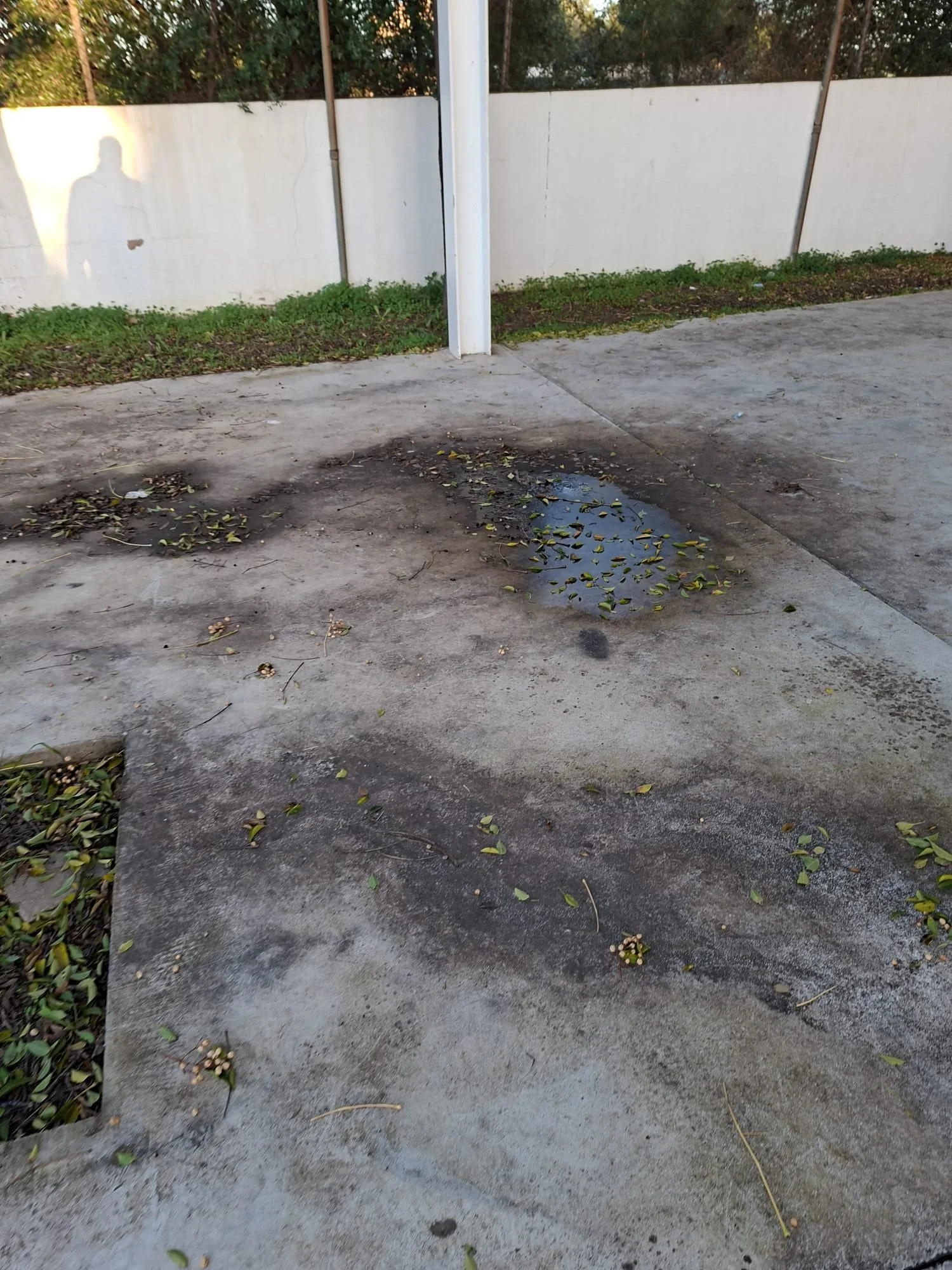 WhatsApp Image 2026-01-17 at 14.04.52 (5).jpeg