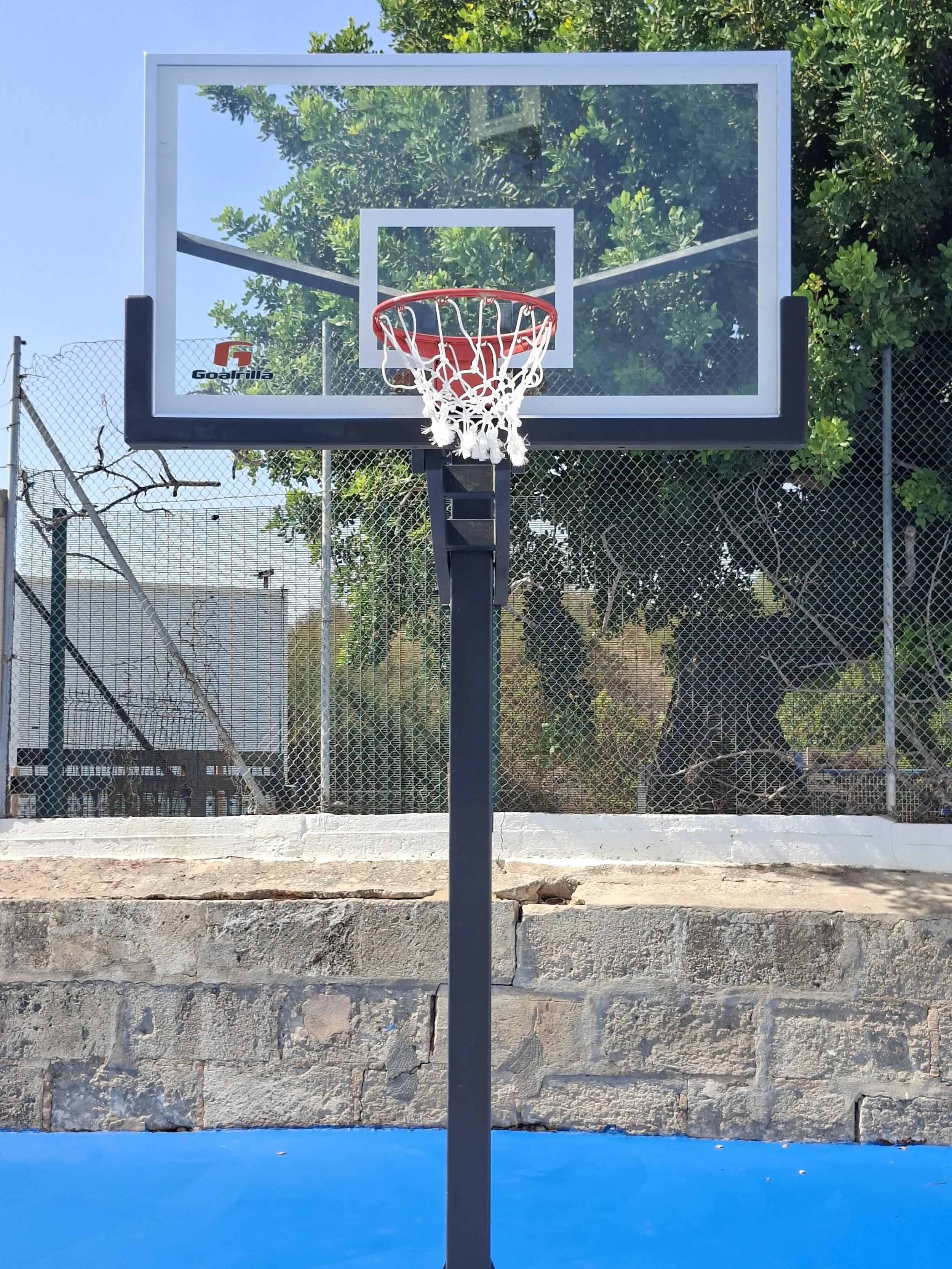 20260907_120245.jpg