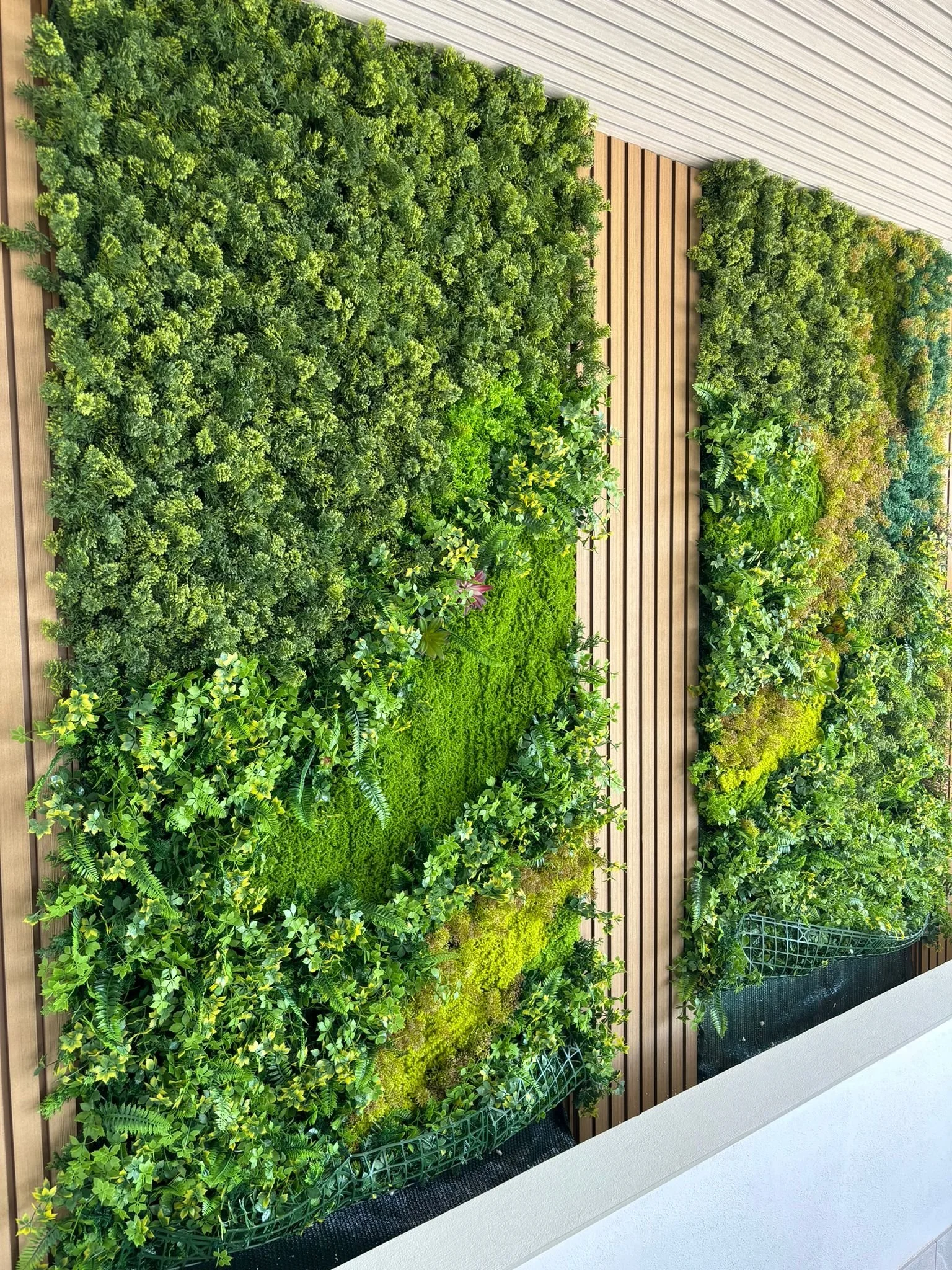 WhatsApp Image 2025-10-14 at 17.41.57 (1).jpeg