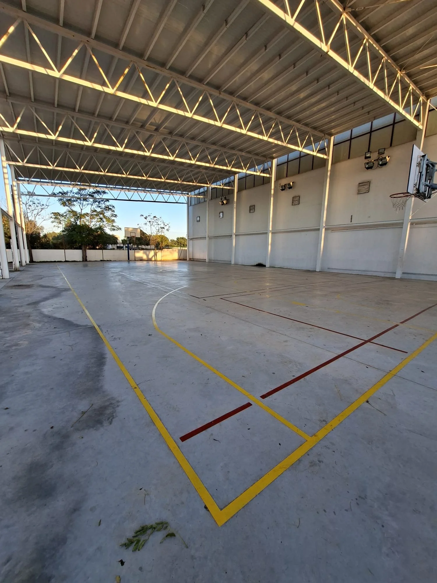 WhatsApp Image 2026-01-17 at 14.04.53.jpeg