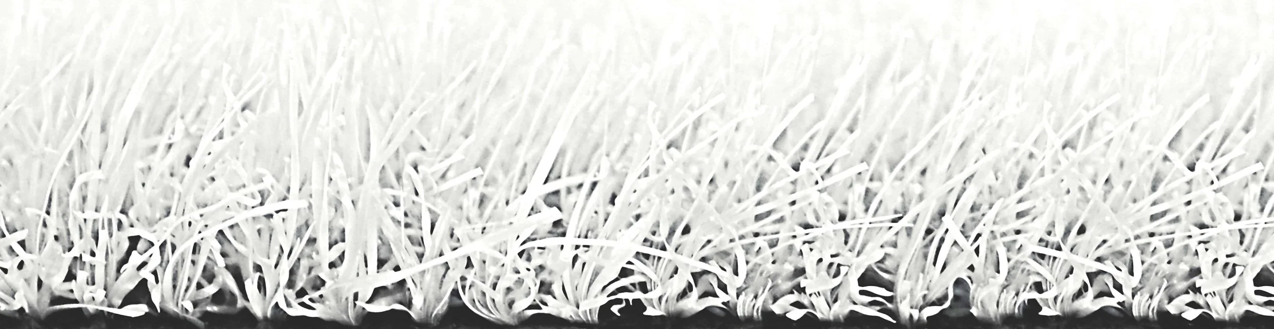 RAINBOW_blanco 2.jpg