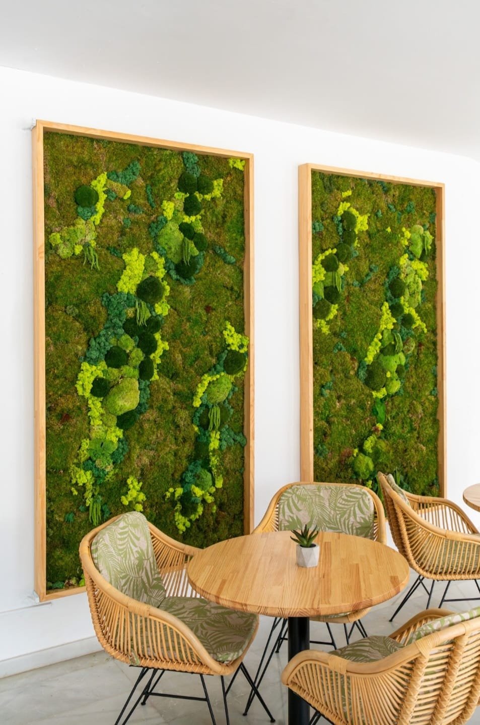 WhatsApp Image 2025-01-10 at 16.04.23.jpeg