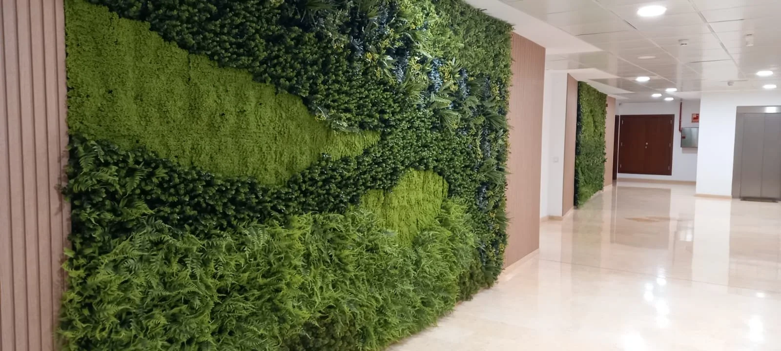 WhatsApp Image 2025-10-14 at 17.41.52.jpeg