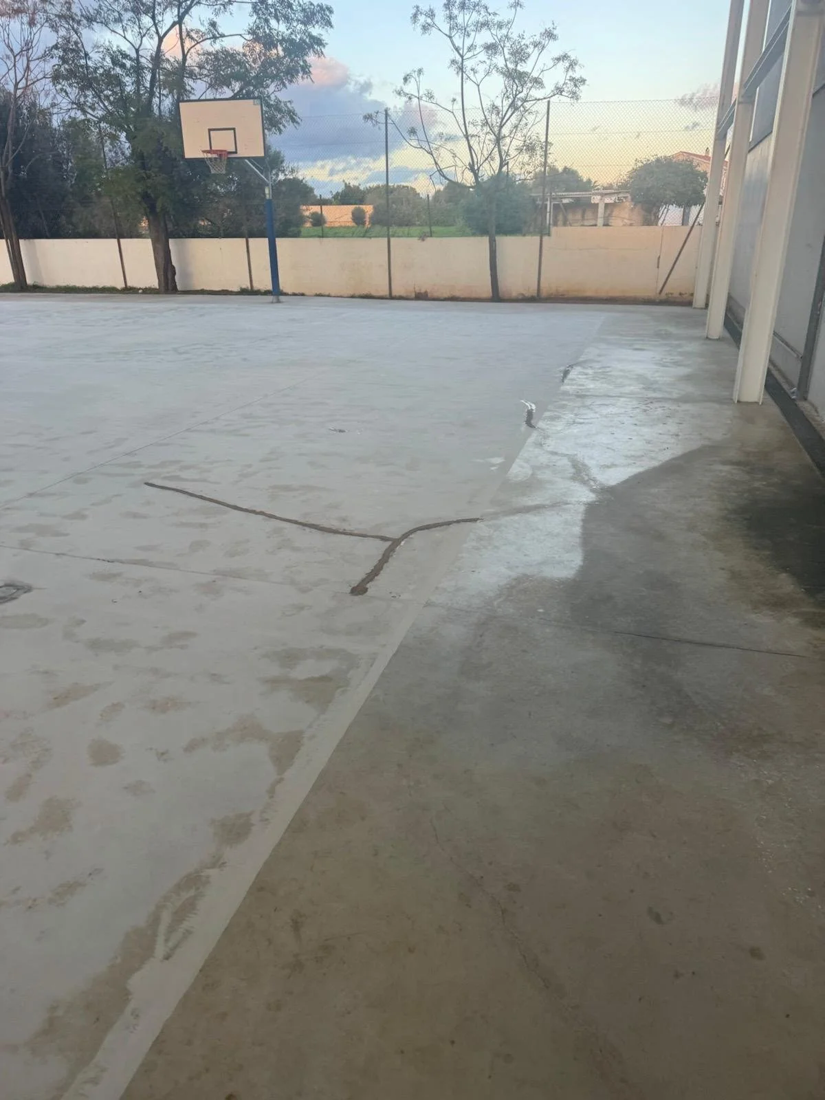 WhatsApp Image 2026-01-17 at 14.04.53 (13).jpeg