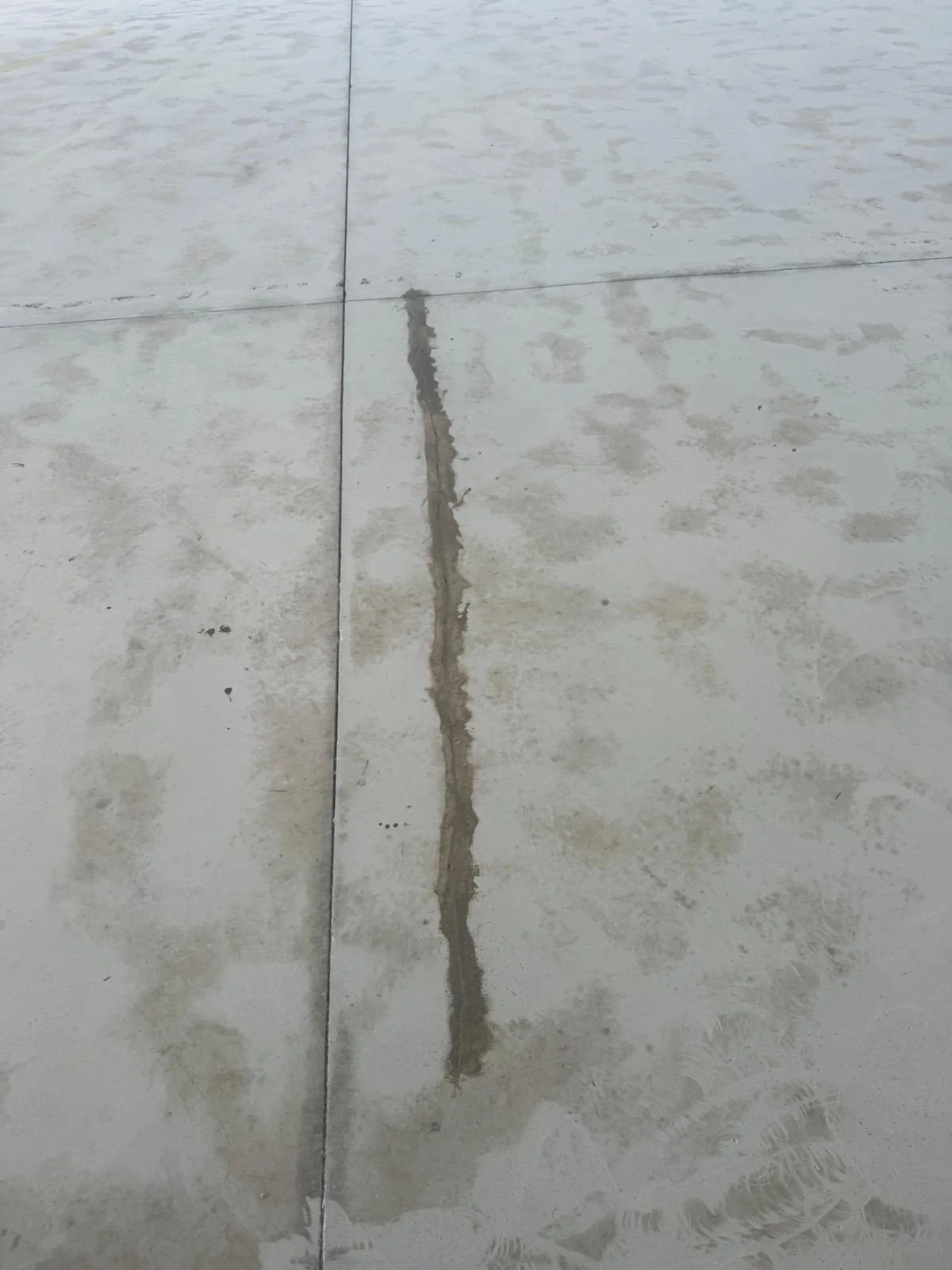 WhatsApp Image 2026-01-17 at 14.04.53 (15).jpeg