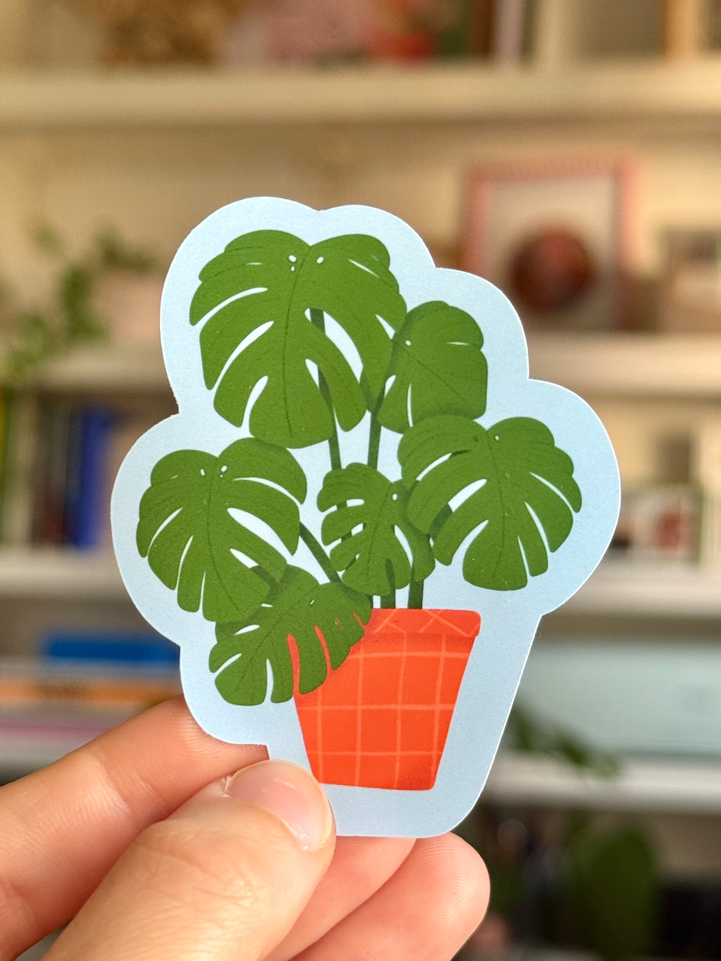 monstera.png
