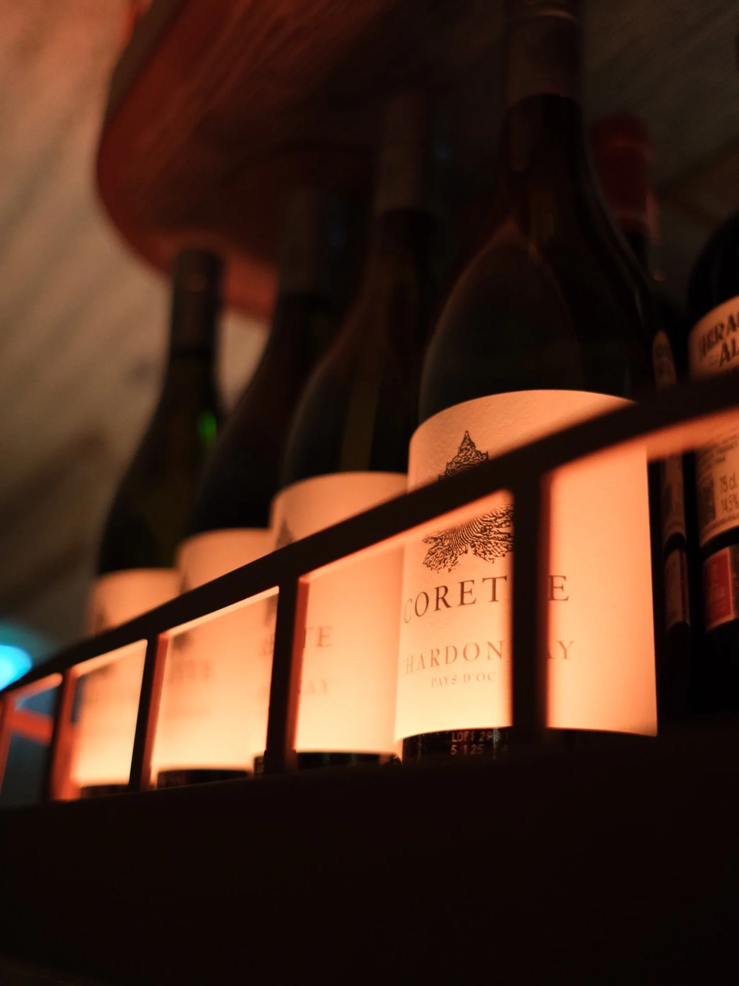 🤩WE&rsquo;RE SO BACK!🤩
Kom je dit weekend langs voor een goed glas wijn, lekkere lunch of diner?
Reserveer via nossa.nl