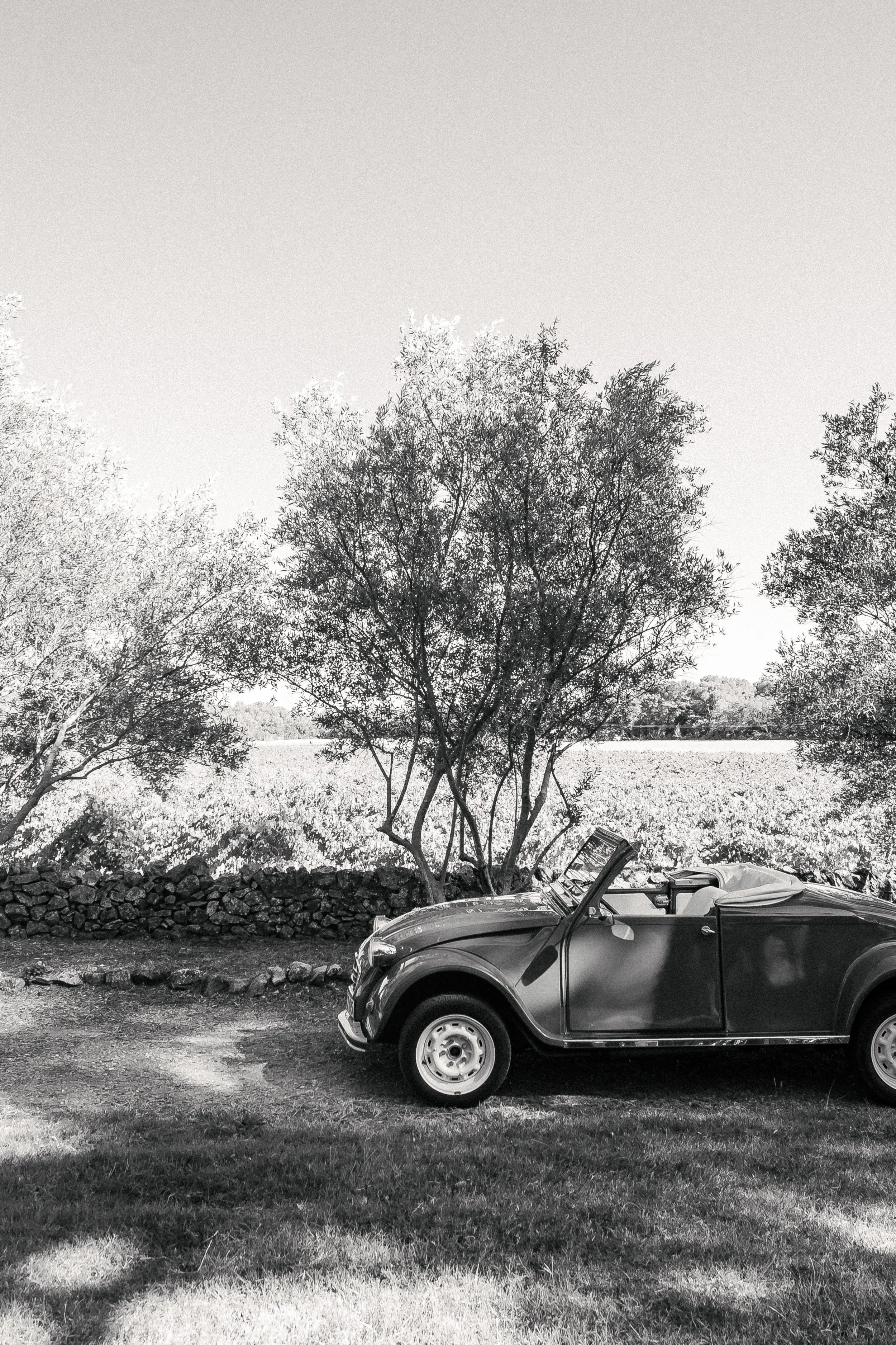 Émilie&Hadrien-Domaine de Buzarens287.jpg